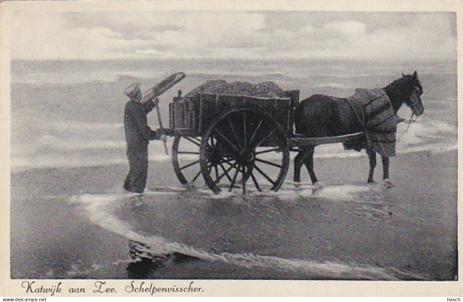 3652	31	Katwijk Aan Zee, Schelpenvisser (poststempel 1938) (kleine Vouwen In De Hoeken) - Katwijk (aan Zee)