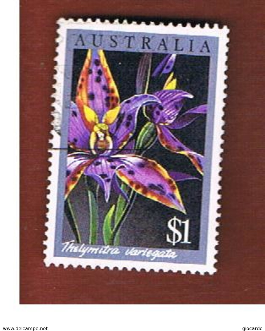 AUSTRALIA  - SG 1035 -  1986 FLOWERS: THELYMITRA VARIEGATA    -  USED - Gebraucht