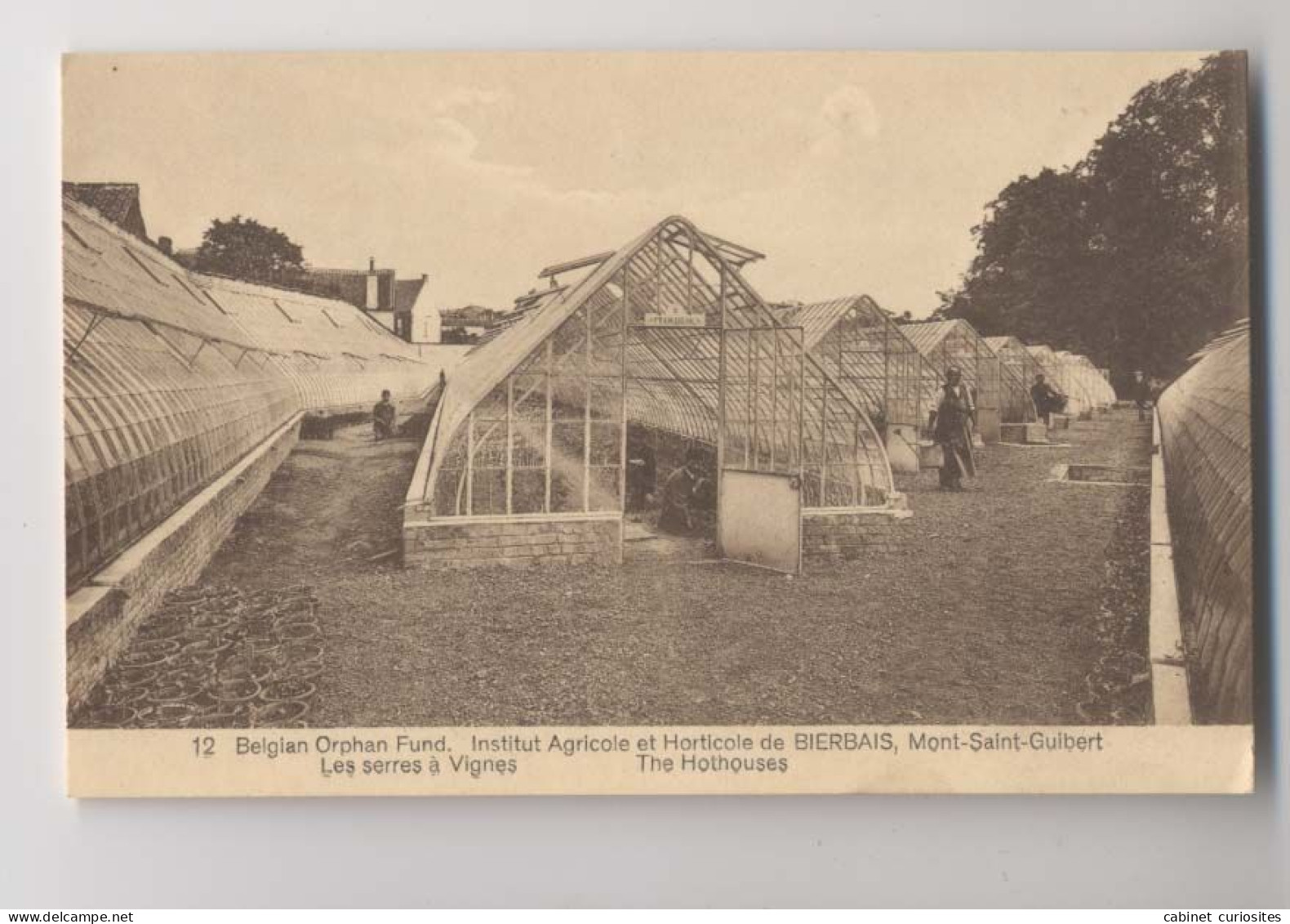 Mont-Saint-Guibert - Institut Agricole Et Horticole De Bierbais - Les Serres à Vignes - Mont-Saint-Guibert