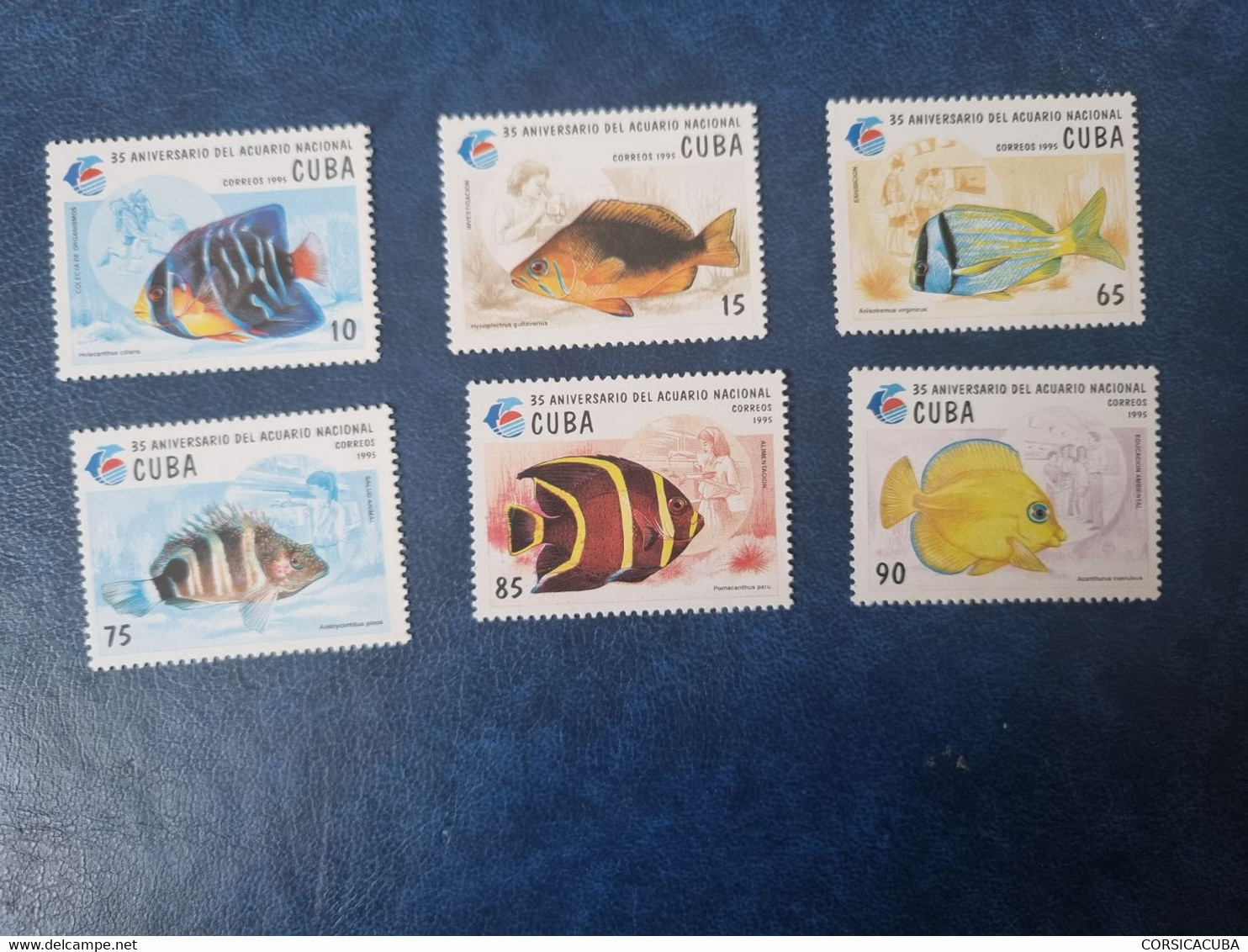 CUBA  NEUF  1995   ACUARIO  NACIONAL  //  PARFAIT  ETAT //  1er  CHOIX // - Unused Stamps