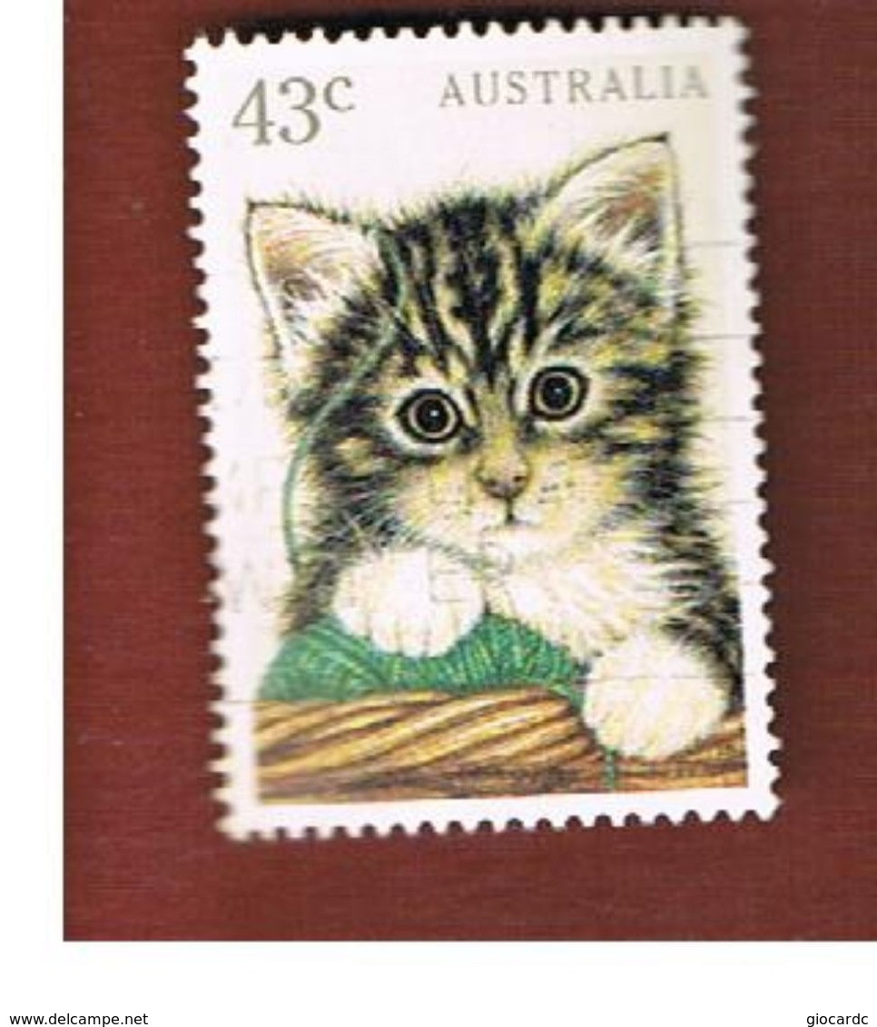 AUSTRALIA  -  SG 1300  -      1991   DOMESTIC CAT    -       USED - Usati