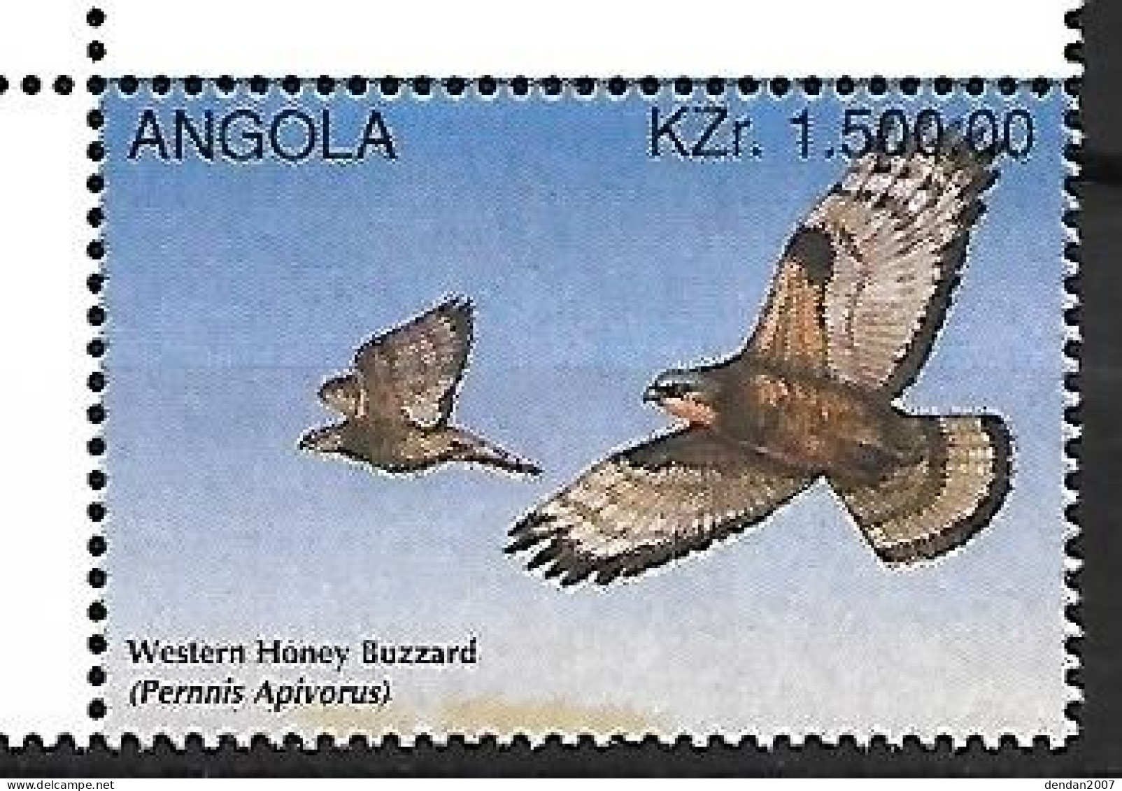 Angola -  Mnh ** 1996 : European Honey Buzzard   - Pernis Apivorus - Águilas & Aves De Presa