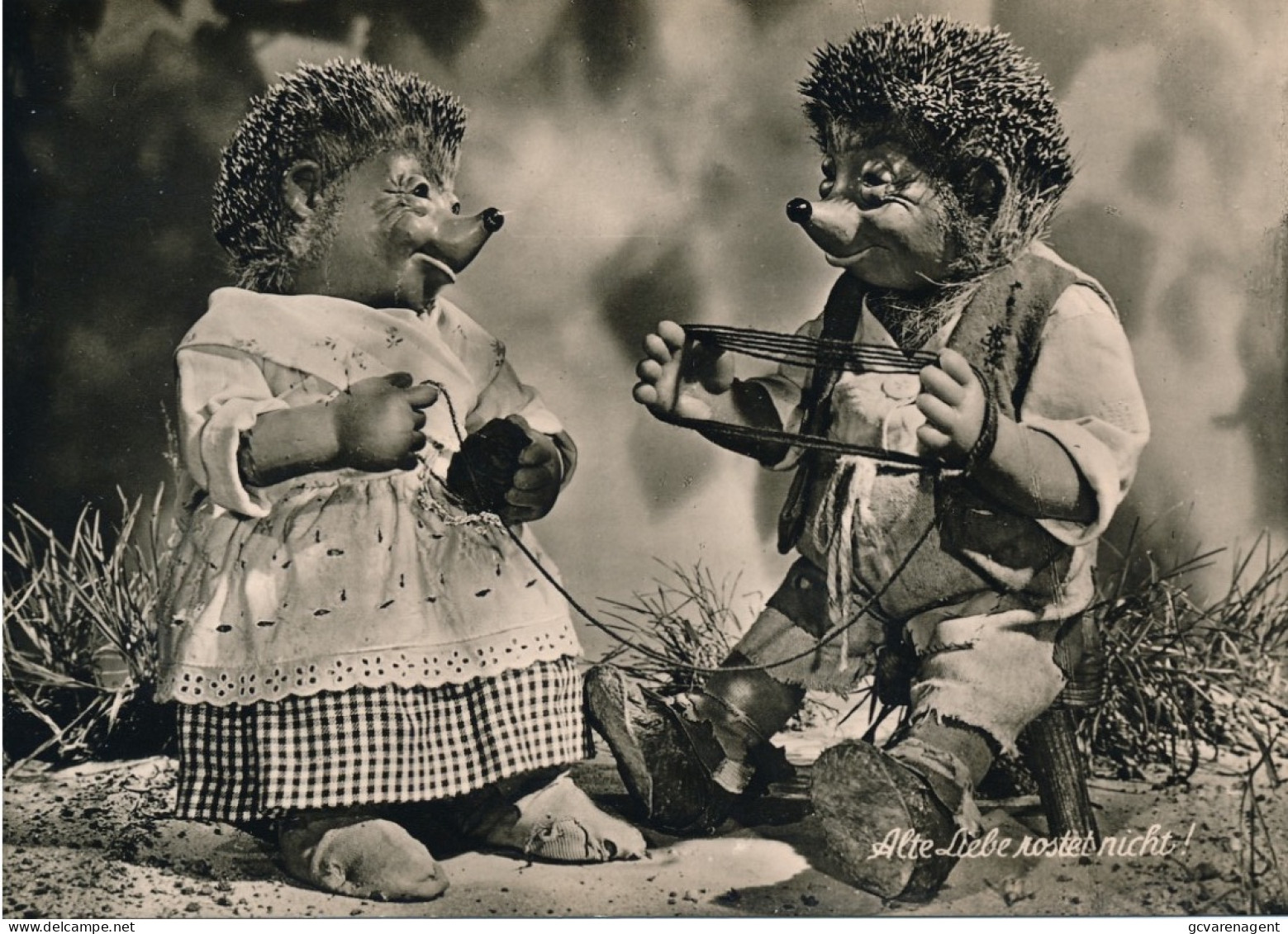 MECKI  PHOTOCARD   ALTE LIEBE ROSTES NICHT !     ZIE AFBEELDINGEN - Mecki