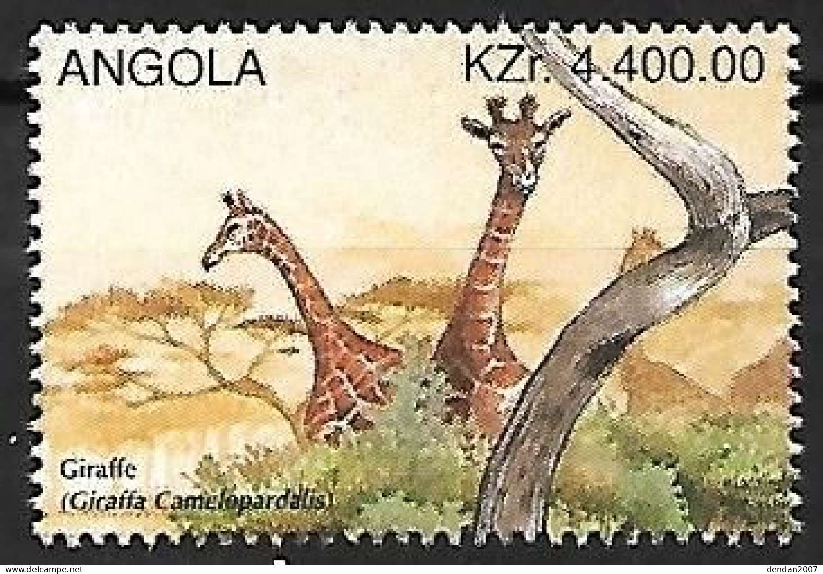 Angola -  Mnh ** 1996 :   Giraffe - Jirafas