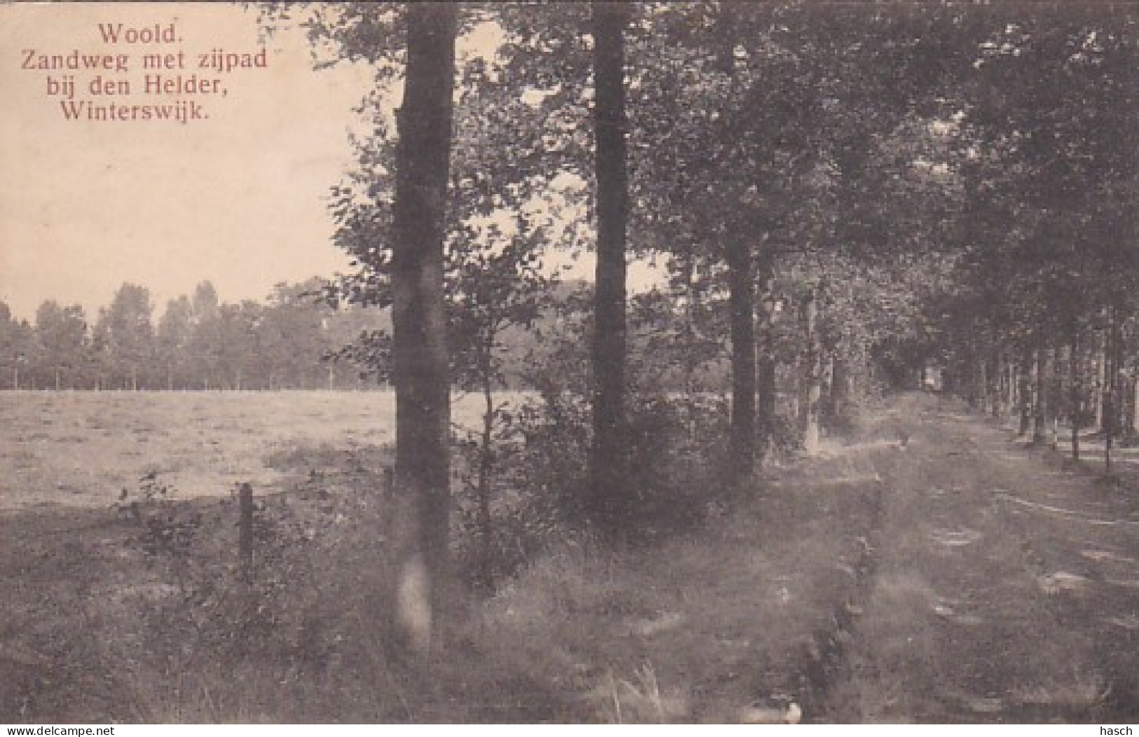 3694	11	Winterswijk, Woold. Zandweg Met Zijpad Bij Den Helder - Winterswijk