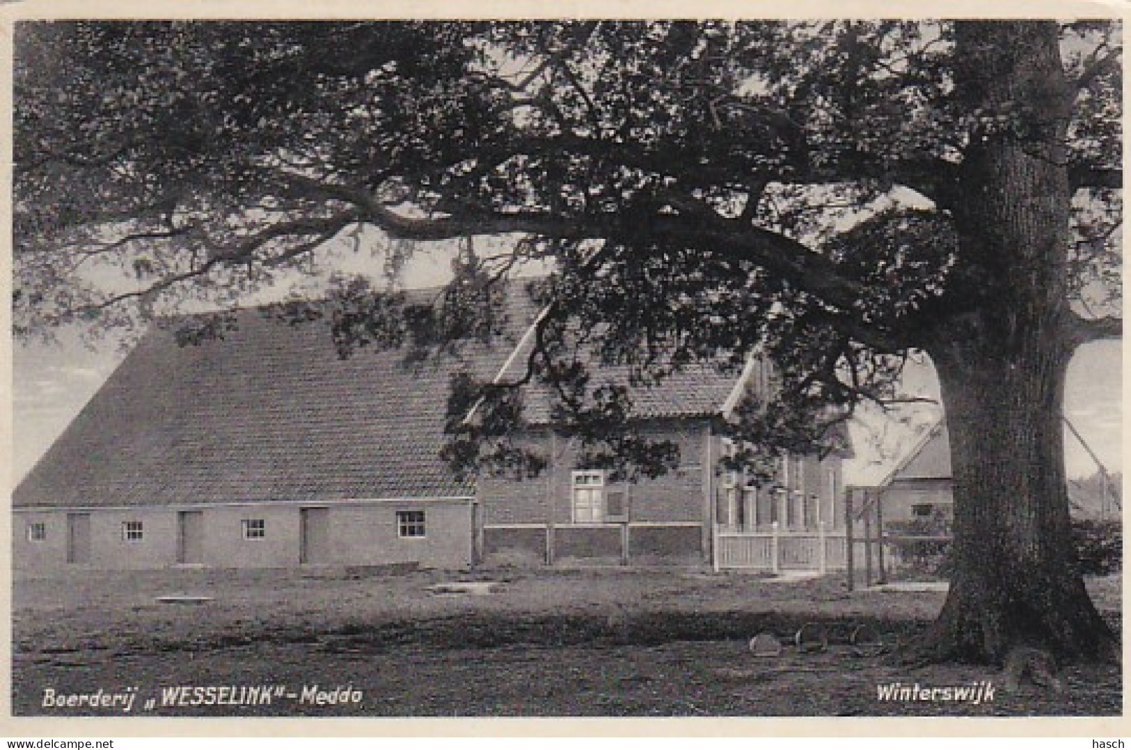 3694	15	Winterswijk, Boerderij ,,Wesselink’’-Meddo (kleine Vouwen In De Hoeken, Zie Achterkant) - Winterswijk