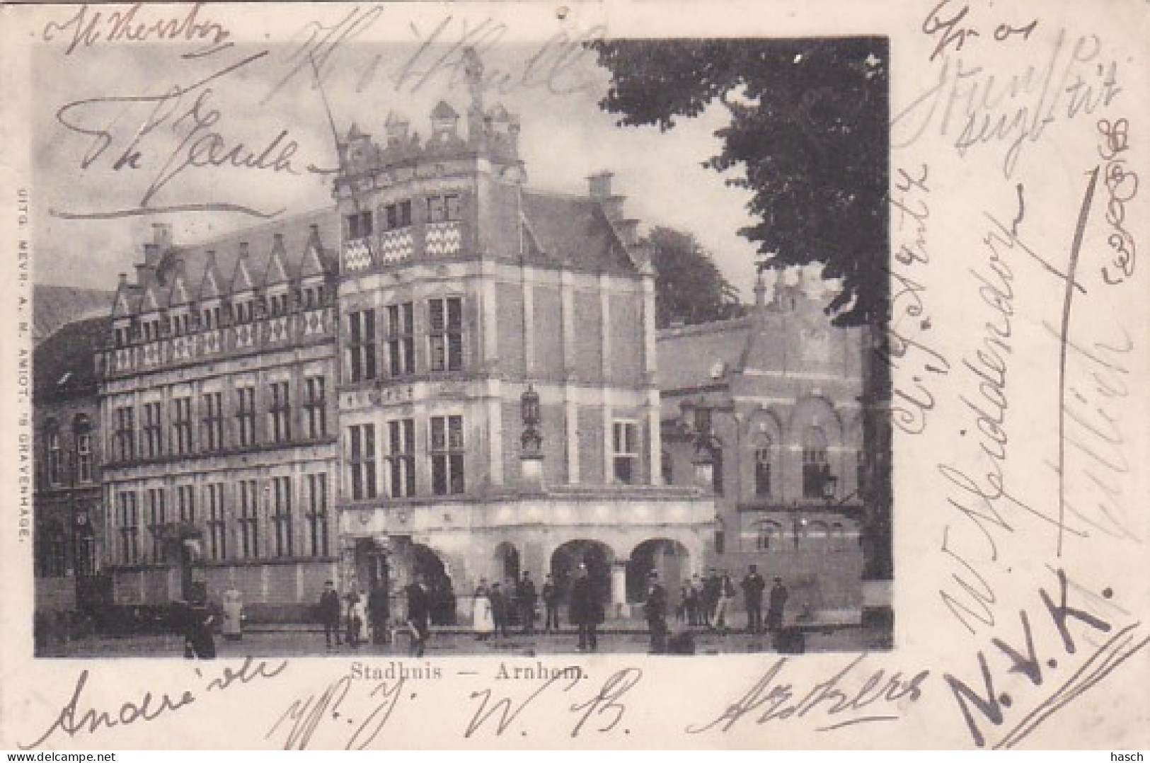 3694	48	Arnhem, Stadhuis (poststempel 1901) (minuscule Vouwtjes In De Hoeken) - Arnhem