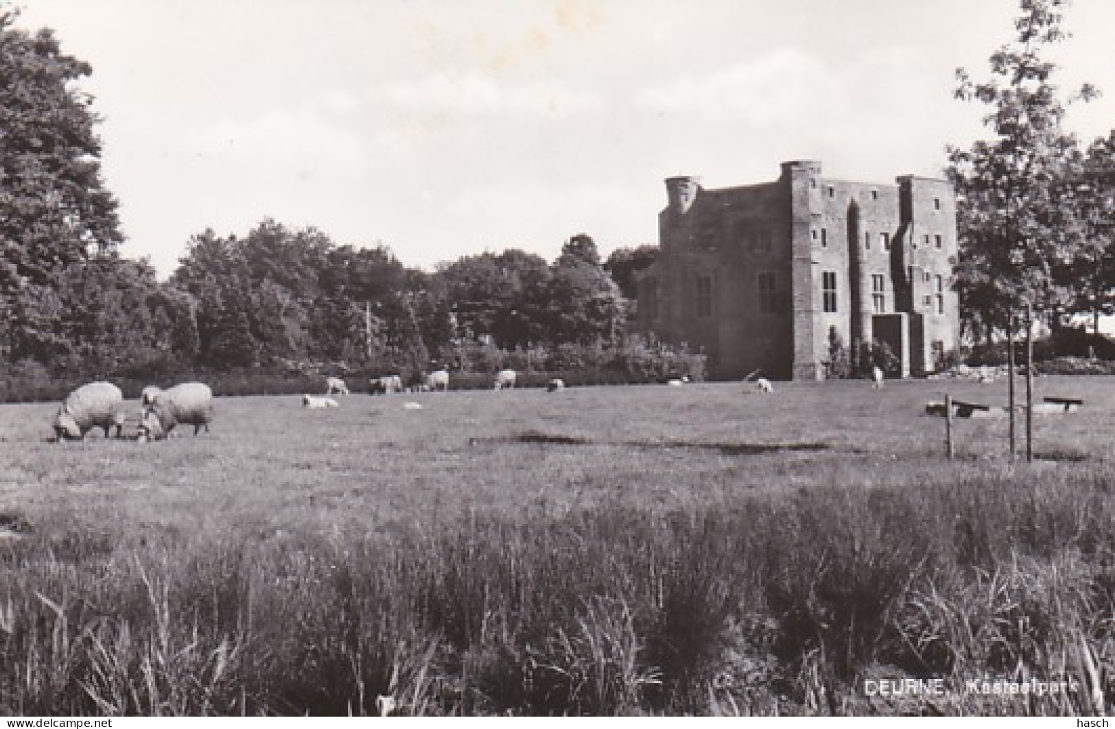 3712	105	Deurne, Kasteelpark (wat Gele Plekjes Boven In De Kaart) - Deurne