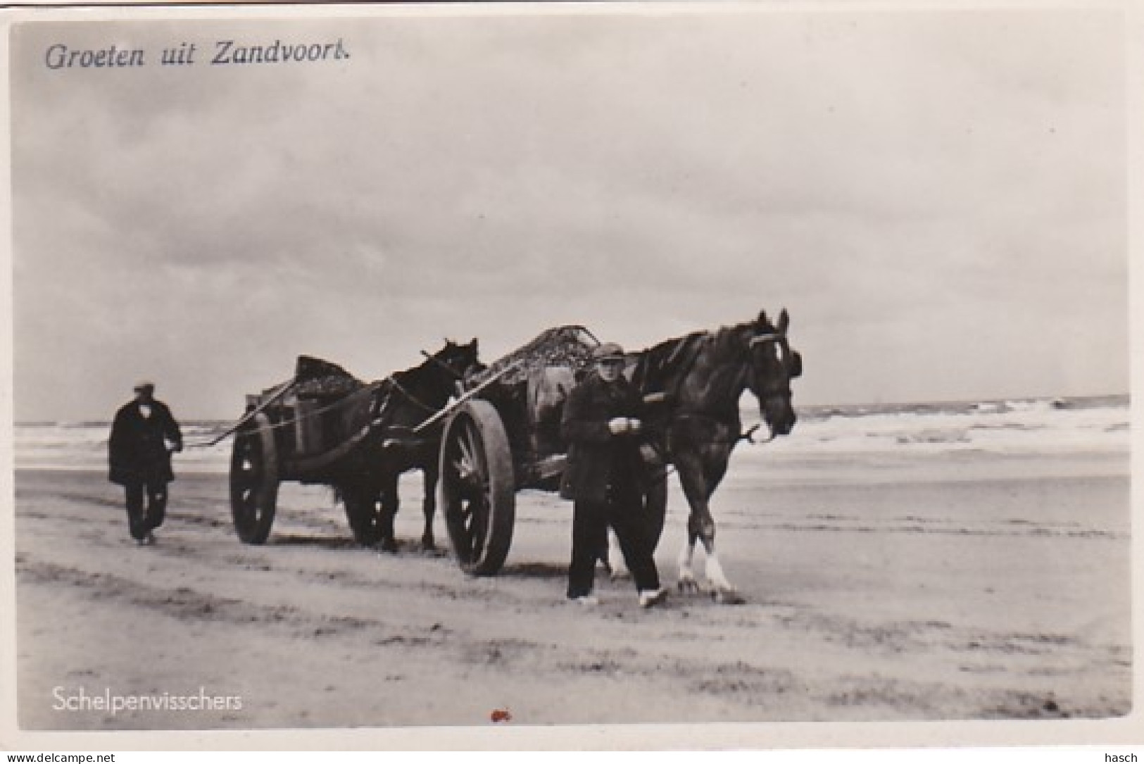 3725	33	Groeten Uit Zandvoort, Schelpenvisschers.  - Zandvoort