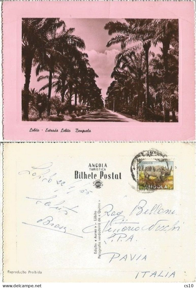 Angola Estrada Lobito - Benguela Route - Pink-turned Pcard 22jan1955 To Italy With Rhino Ags.2 SOLO Franking - Angola