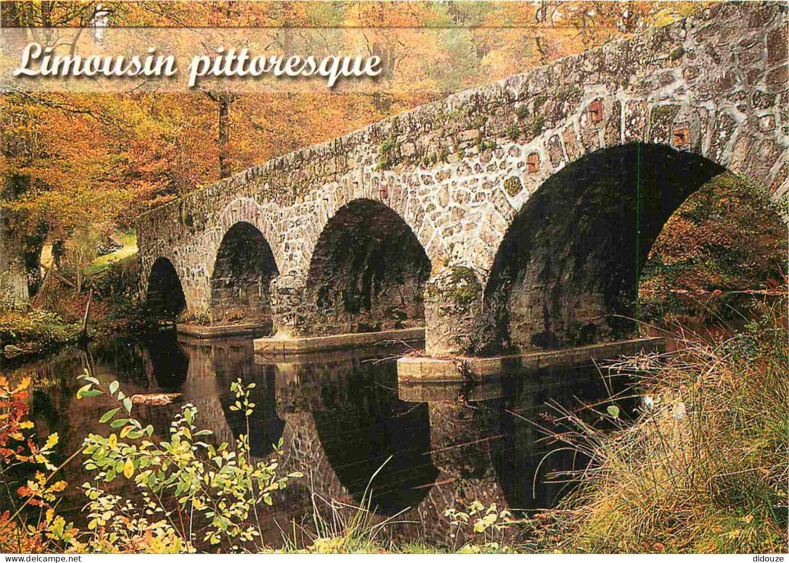 87 - Haute Vienne - Limousin - Vieux Pont De Pierres - CPM - Carte Neuve - Voir Scans Recto-Verso - Aixe Sur Vienne