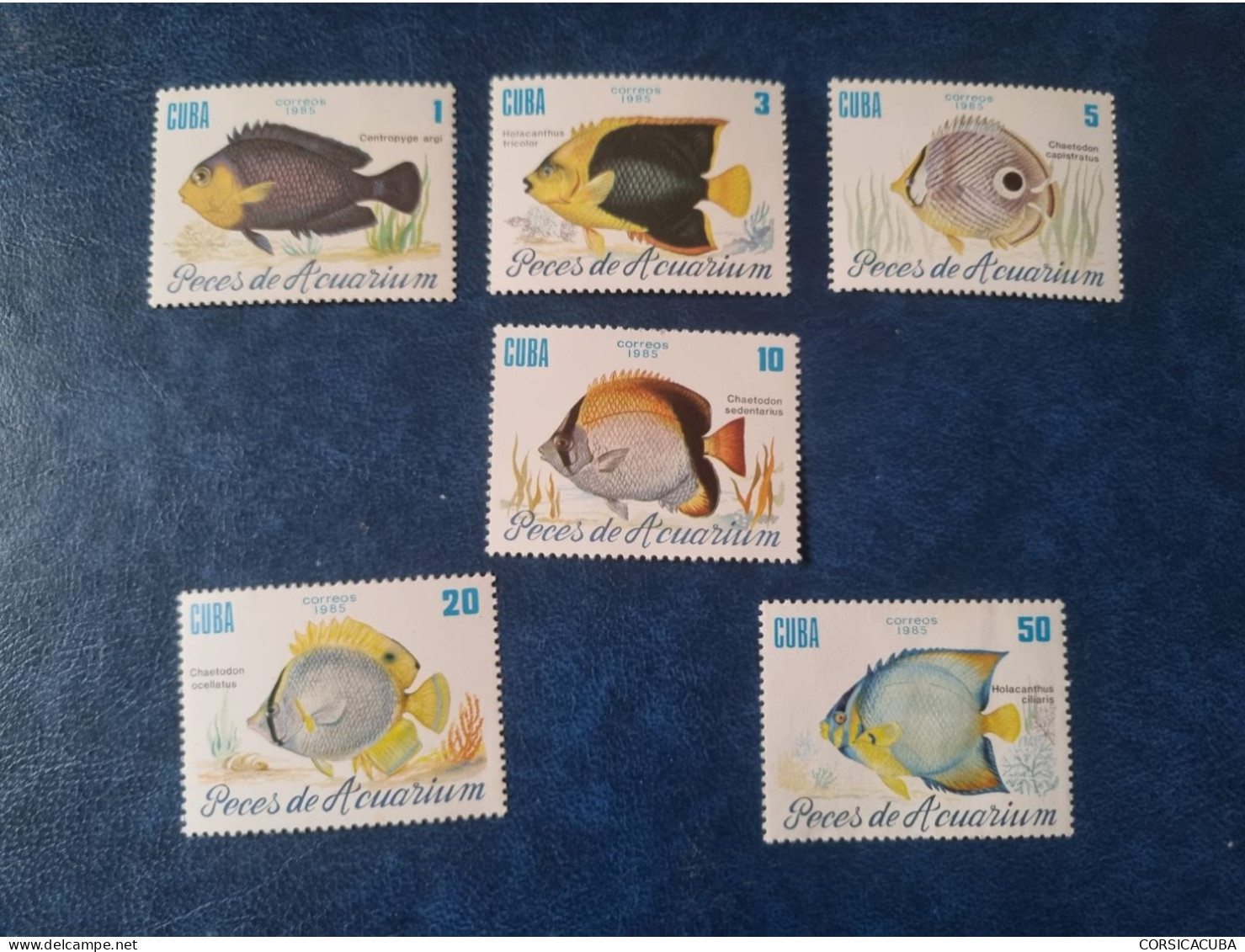 CUBA  NEUF  1985    PECES  DE ACUARIO  //  PARFAIT  ETAT  //  1er  CHOIX  // - Unused Stamps