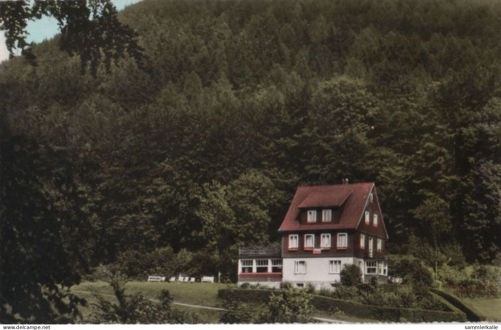 92934 - Zorge - Pension Eckebrecht - Ca. 1965 - Osterode