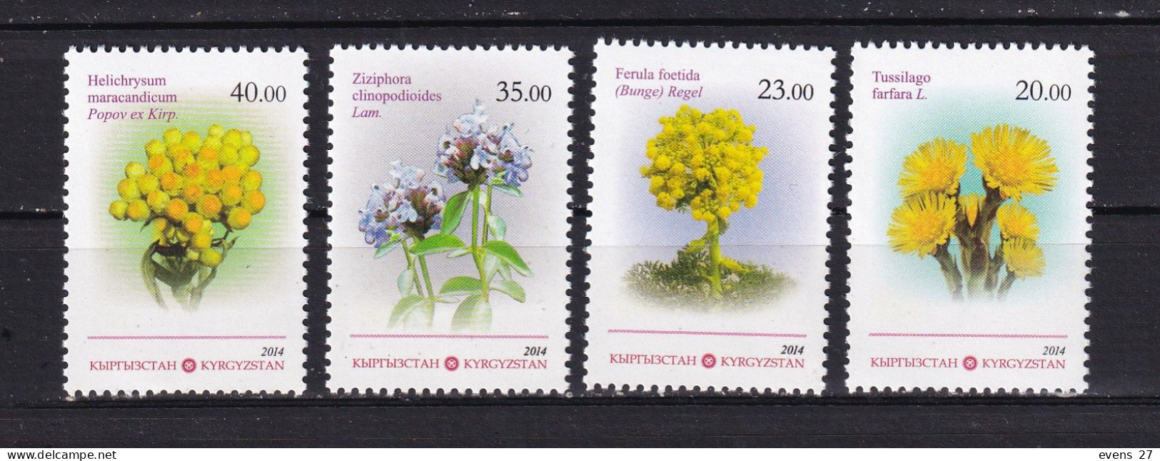 KYRGYZSTAN-2014- MEDICINAL PLANTS-MNH - Piante Medicinali