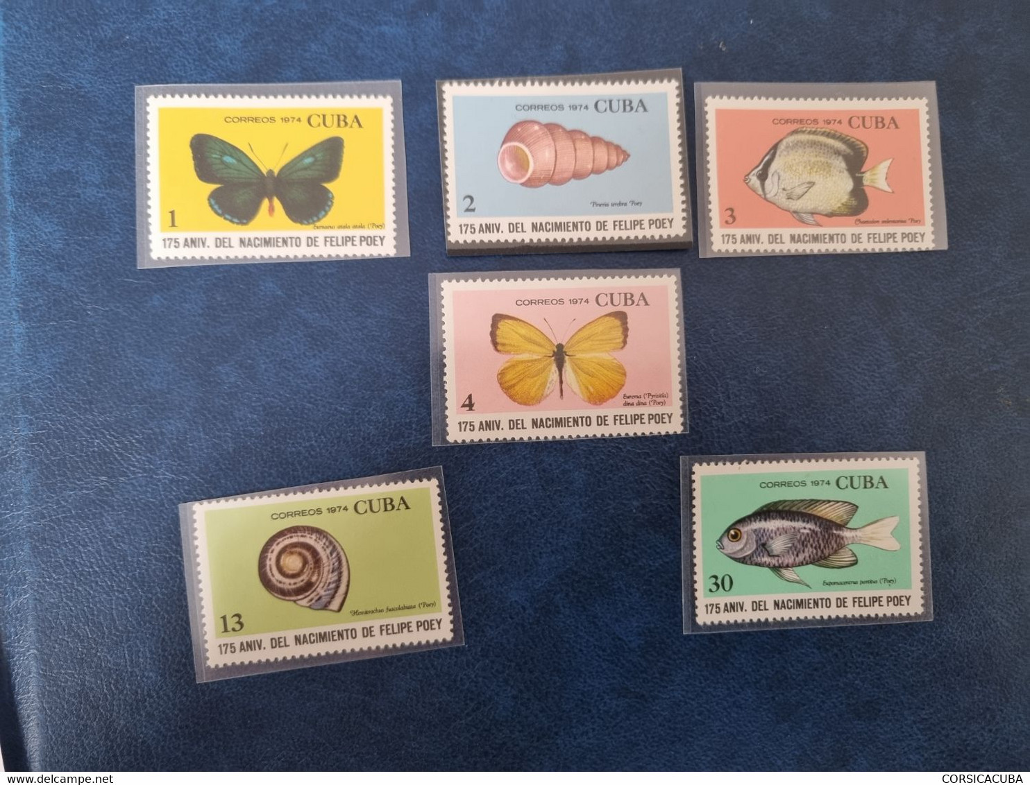 CUBA  NEUF  1974   NACIMIENTO  DE  FELIPE  POEY  //  PARFAIT  ETAT  //  1c, 4c, 30c  Sans  Gomme - Unused Stamps