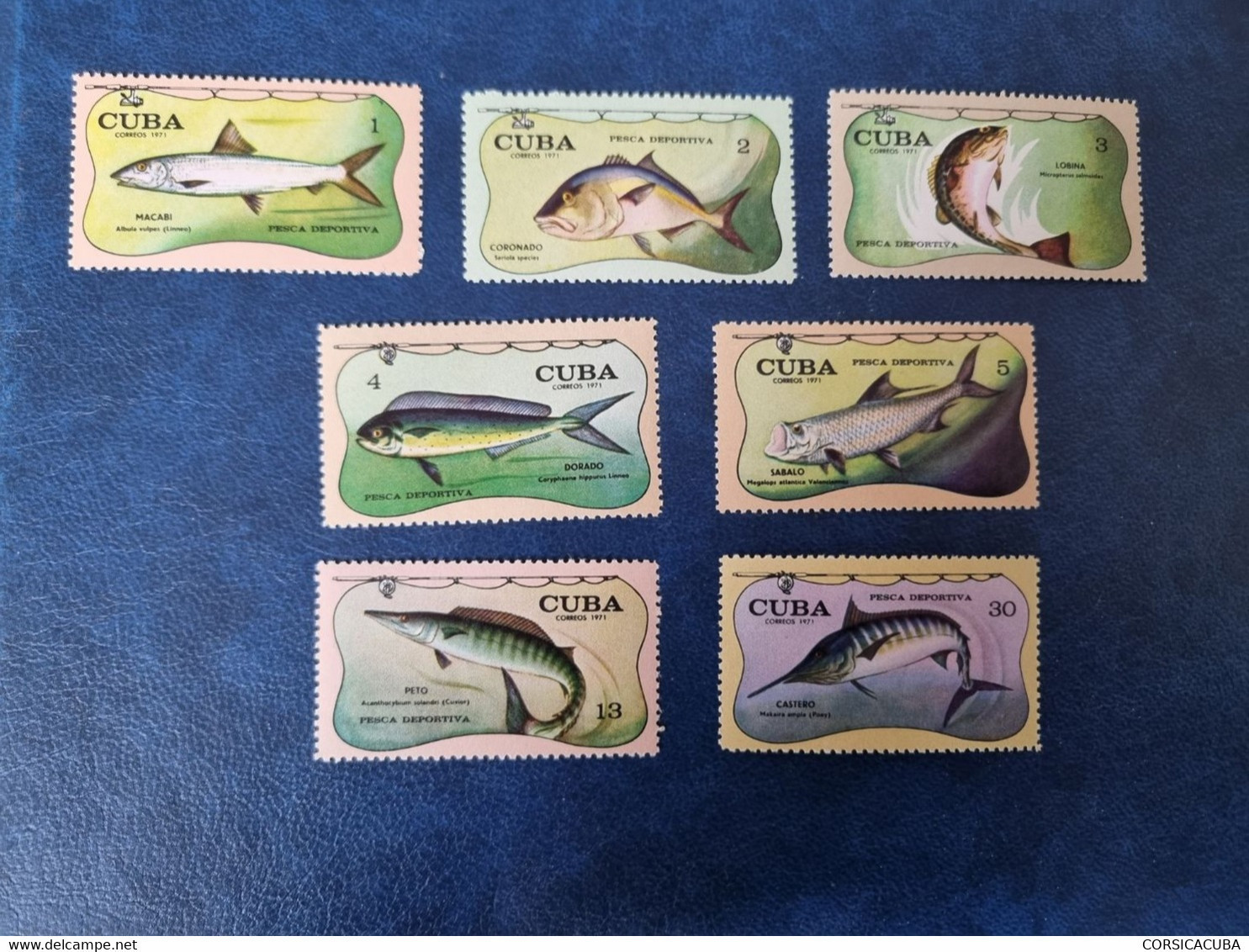 CUBA  NEUF  1971   PESCA  DEPORTIVA  //  PARFAIT  ETAT  // 1er  CHOIX  // Avec Gomme - Nuovi