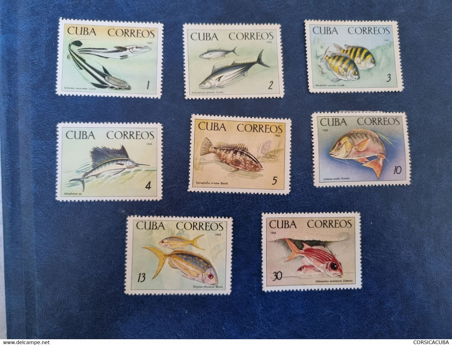 CUBA  NEUF  1965    ACUIRIO  NACIONAL  //  PARFAIT  ETAT  // Sans Gomme. - Neufs