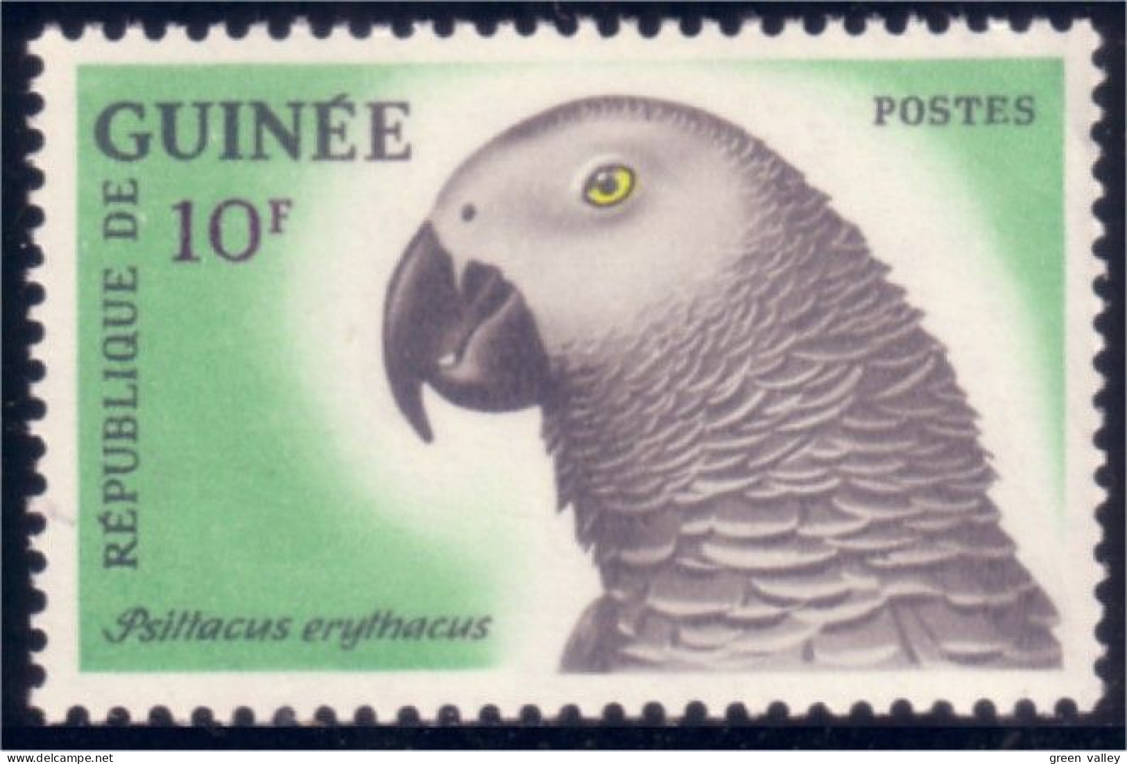 470 Guinee Psittacus Perroquet Gris Gray Parrot 10f MNH ** Neuf (GUF-92b) - Papegaaien, Parkieten