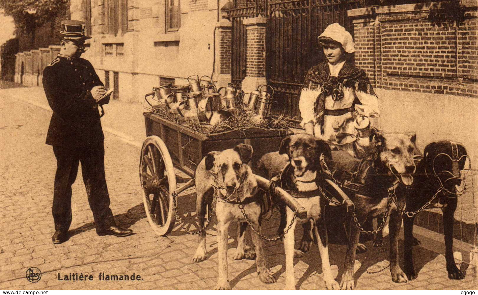 Laitière Flamande . Attelage De Chiens. Contravention. Feuillets Décollés - Vendedores Ambulantes