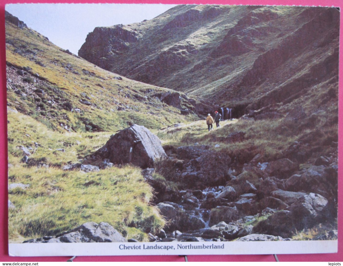 Visuel Très Peu Courant - Angleterre - Cheviot Landscape - Northumberland - Autres & Non Classés