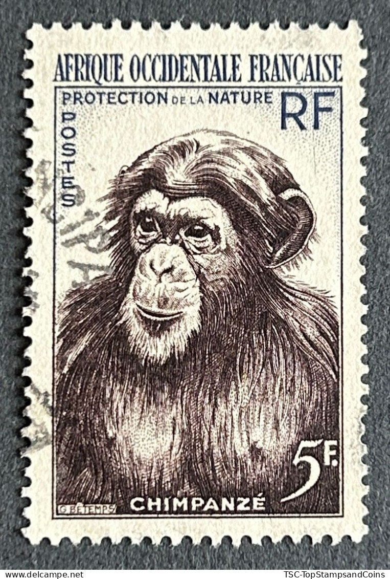 FRAWA0051U - Nature Conservation - Apes - 5 F Used Stamp - AOF - 1955 - Gebruikt