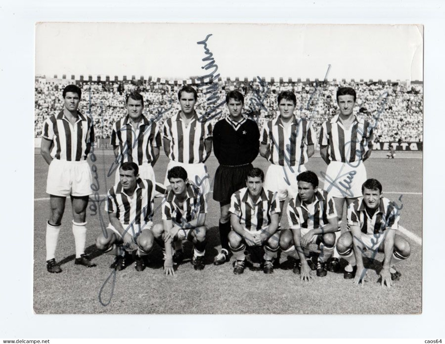 Juventus Anni '60 Foto Originale Studio Petrone Con Veri Autografi Dei Calciatori 24 X 18 Cm - Autographes