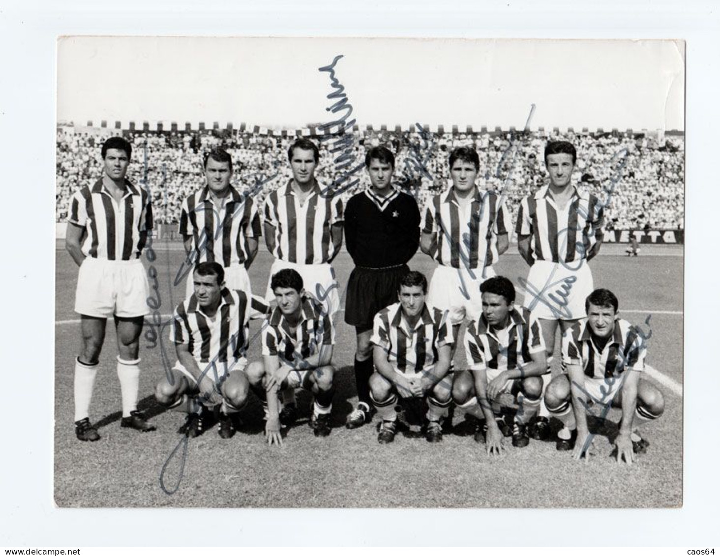 Juventus Anni '60 Foto Originale Studio Petrone Con Veri Autografi Dei Calciatori 24 X 18 Cm - Autografi