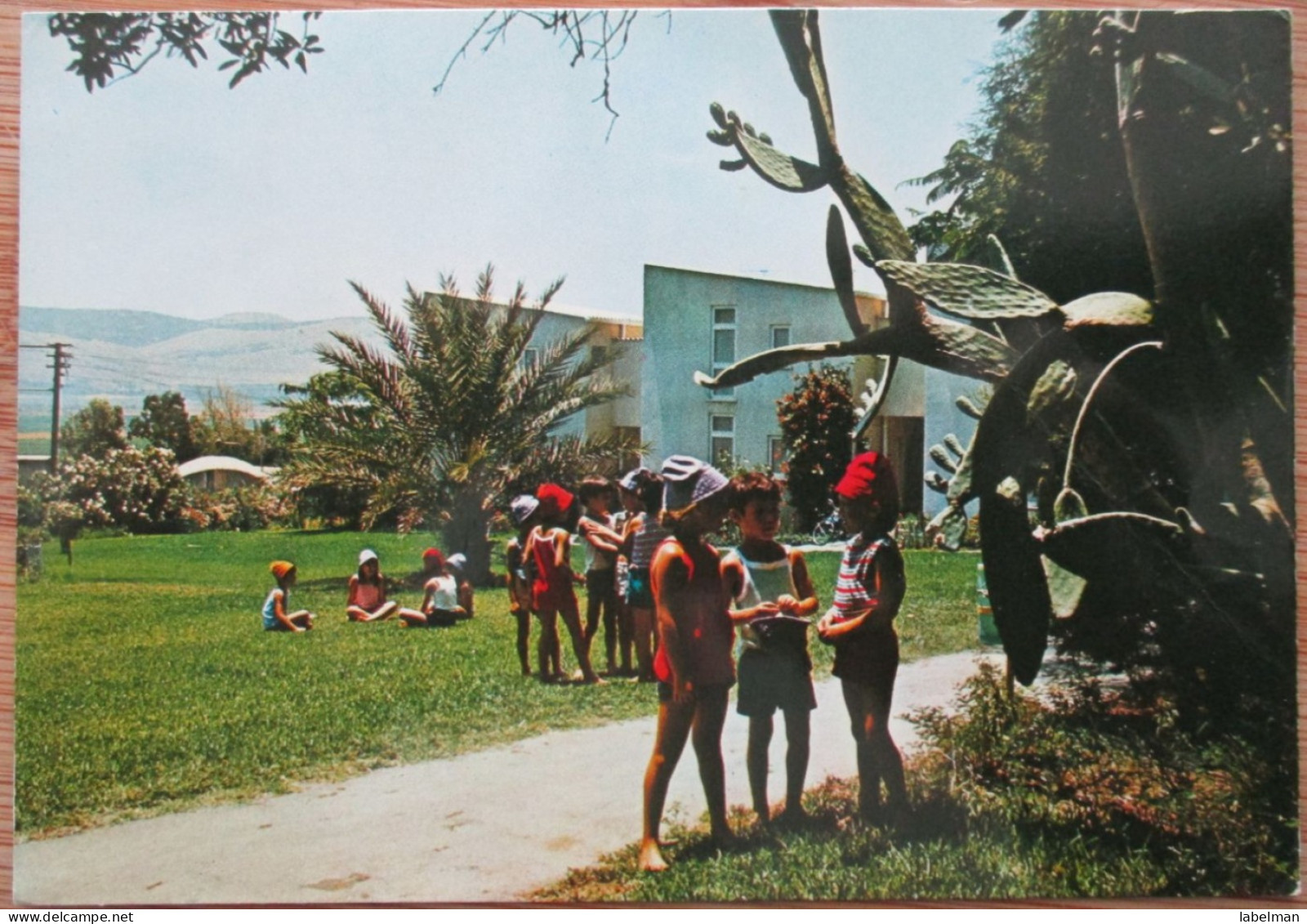 ISRAEL KIBBUTZ BEIT HASHITA GILBOA AK SHANA TOVA NEW YEAR JUDAICA PC CP POSTKARTE CARTE POSTALE POSTCARD ANSICHTSKARTE - Adesivi Di Alberghi