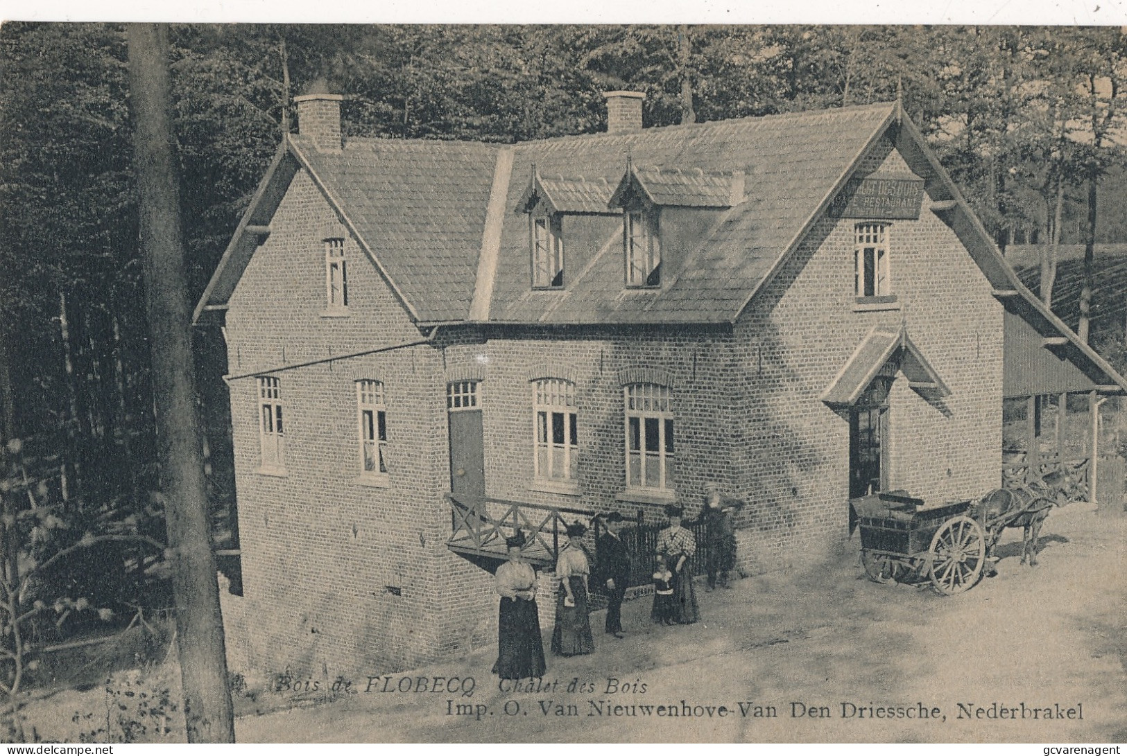 FLOBECQ     CHALETS DES BOIS         ZIE AFBEELDINGEN - Flobecq - Vlösberg