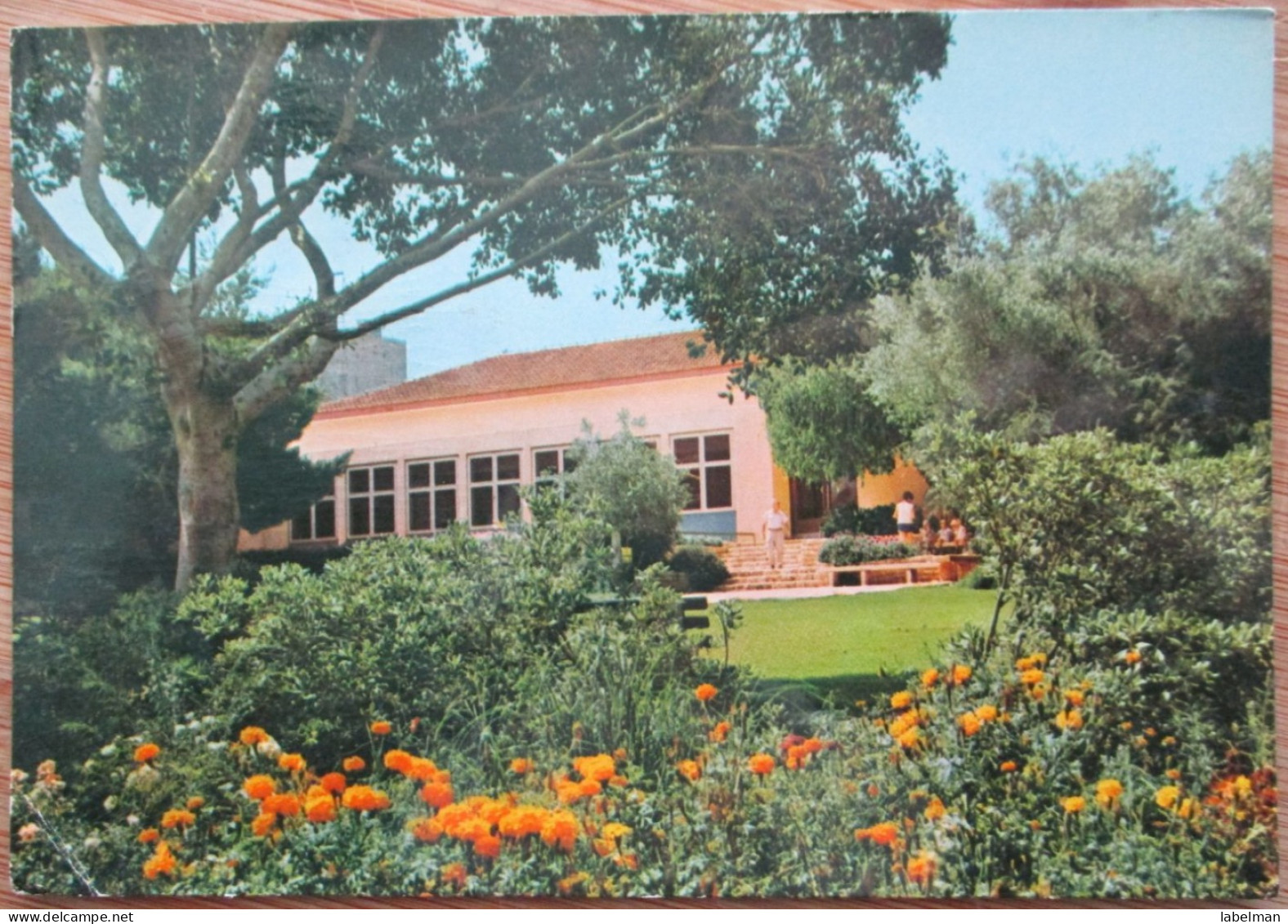 ISRAEL KIBBUTZ MISHMAR HASHARON AK CARD SHANA TOVA NEW YEAR JUDAICA PC CP POSTKARTE CARTE POSTALE POSTCARD ANSICHTSKARTE - Adesivi Di Alberghi