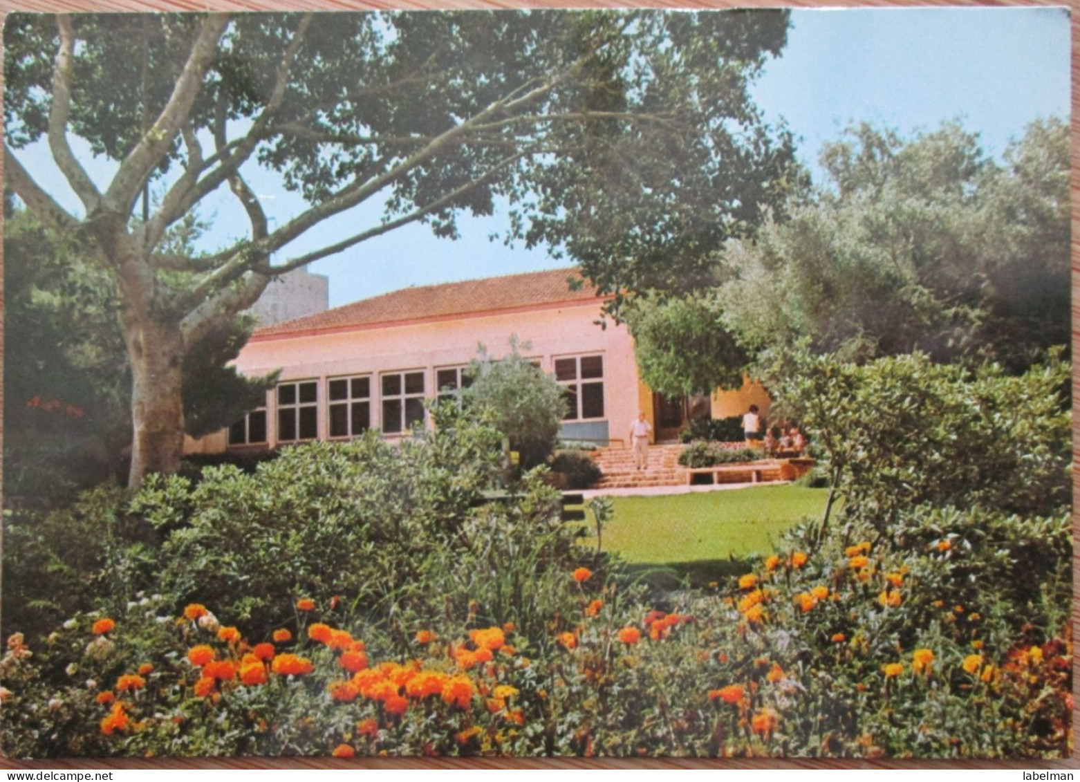 ISRAEL KIBBUTZ GALIL YAM HASHARON SHANA TOVA NEW YEAR JUDAICA CARD AK PC POSTKARTE CARTE POSTALE POSTCARD ANSICHTSKARTE - Hotelaufkleber