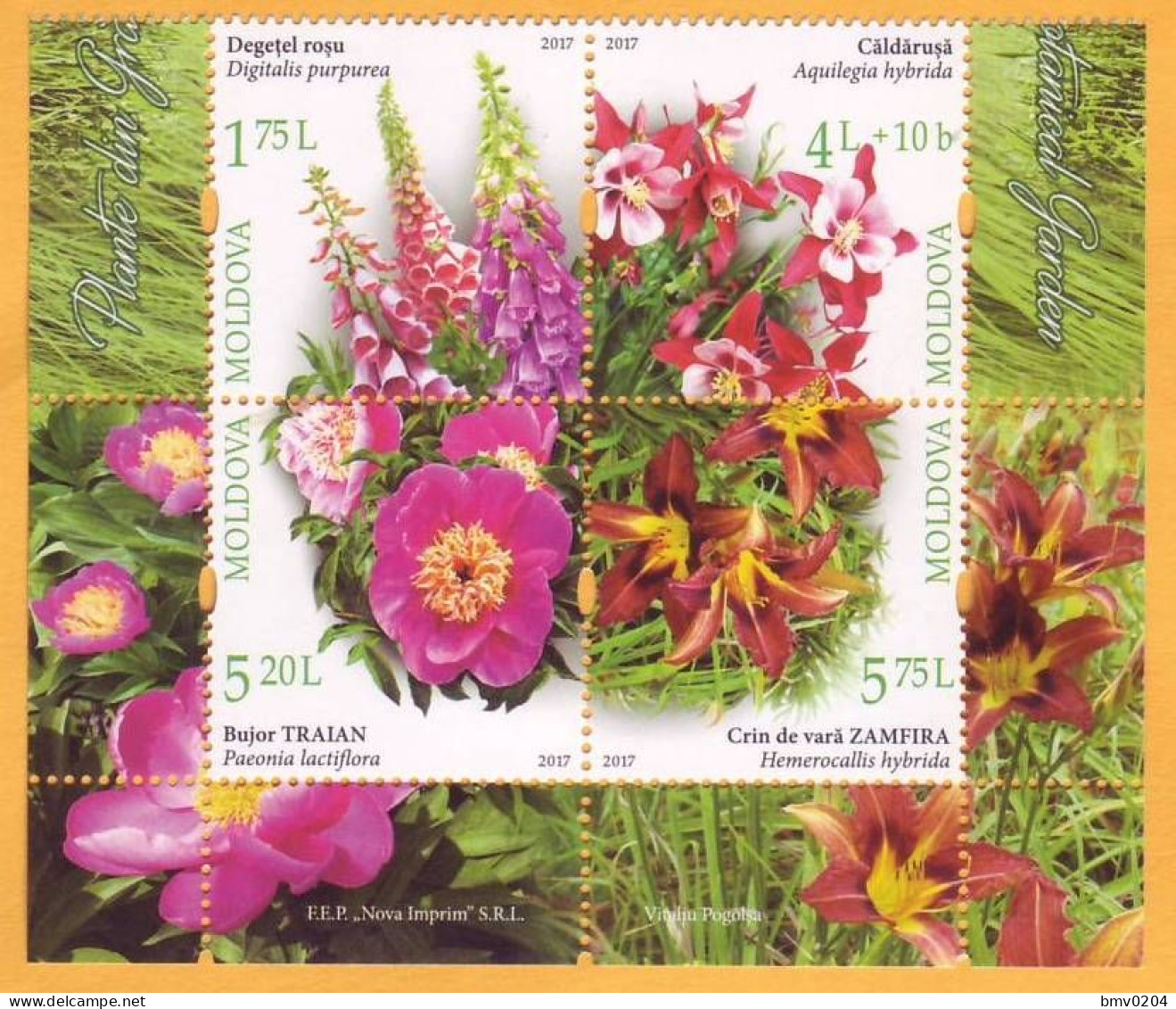 2017  Moldova Moldavie Moldau. Botanical Garden. Flowers. Set 4 Stamps Mint - Moldavie