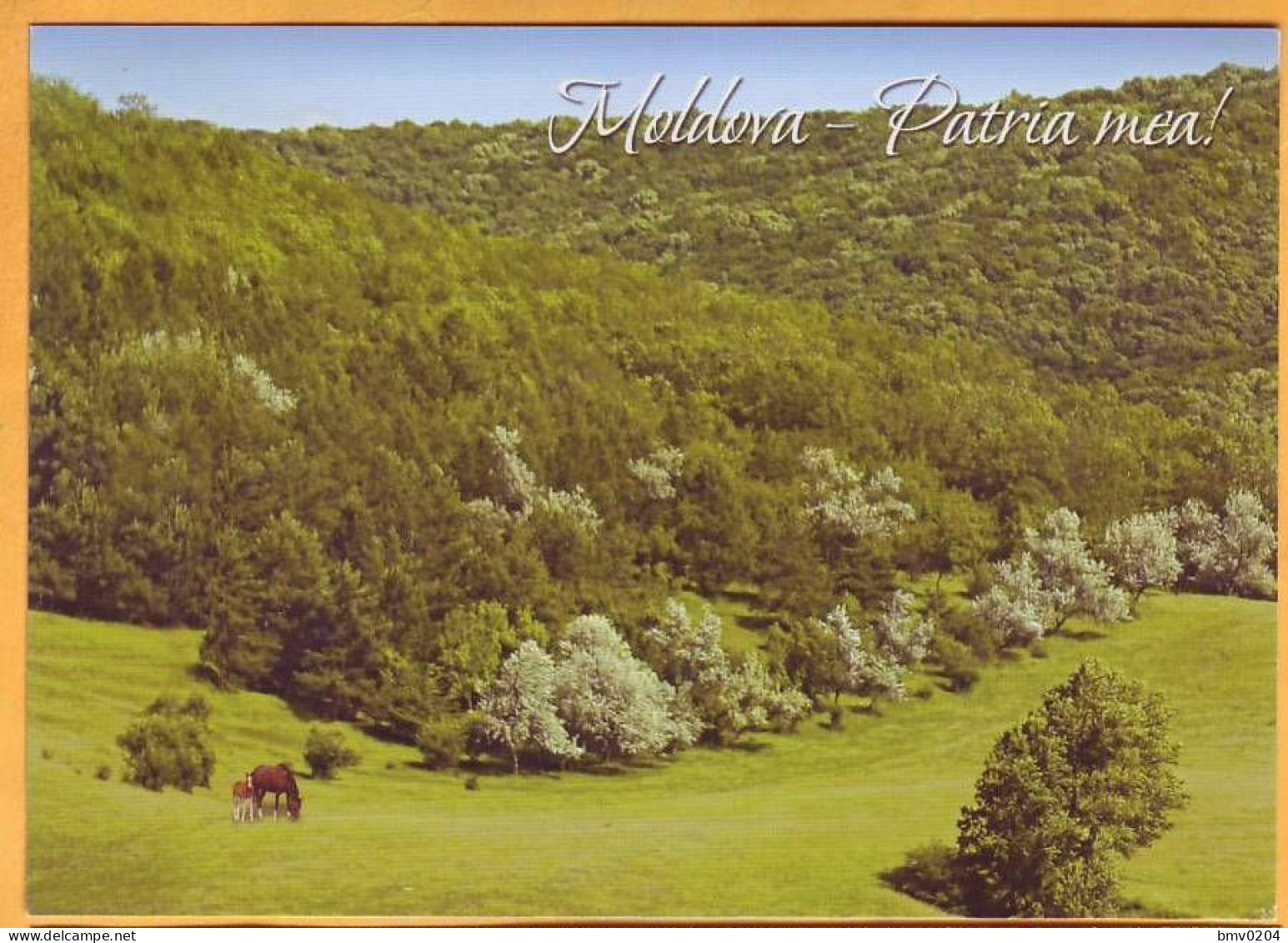 2017 Moldova Moldavie Special Postal Cancellation. "Month Of The Forest". Elk, Hare, Butterflies, Flowers, Birds. - Moldavie