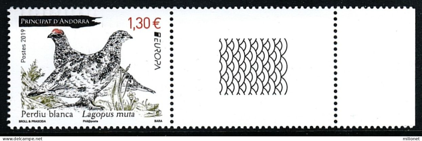 SALE!!! FRENCH ANDORRA ANDORRE 2019 EUROPA CEPT National Birds 1 Stamp + 1 Vignette MNH ** - 2019
