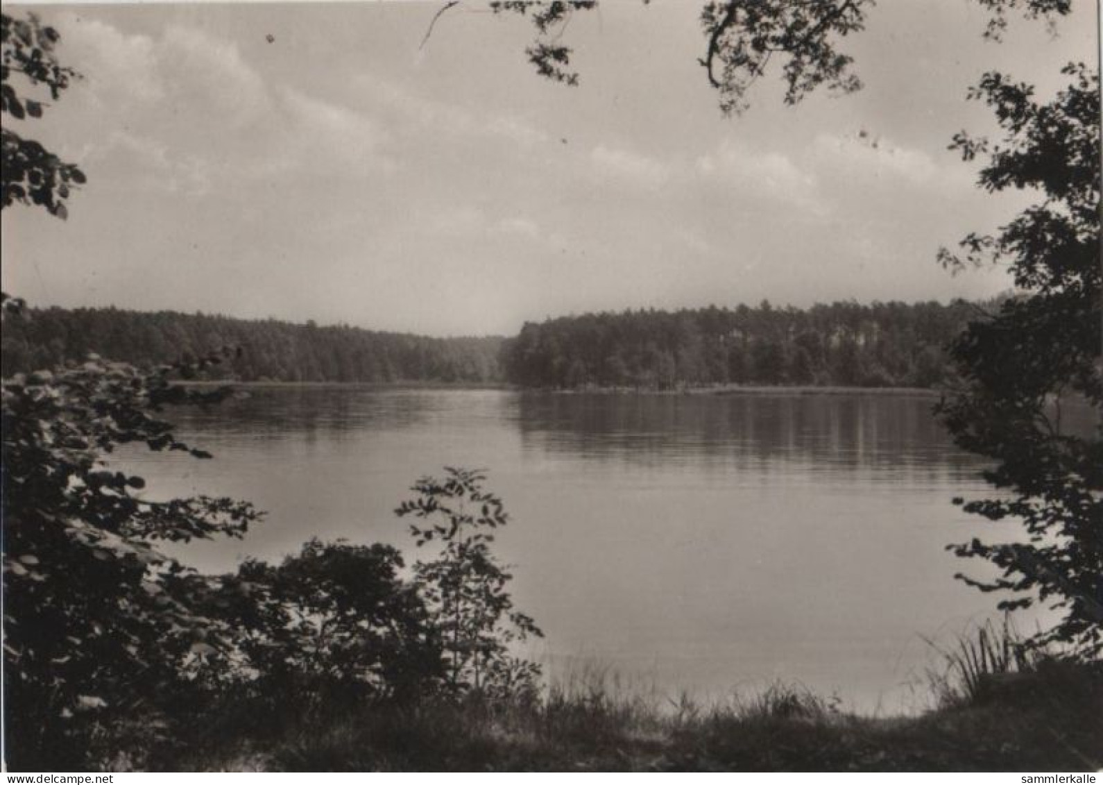 78692 - Dahlen-Ochsensaal - Dammühlenteich - Ca. 1965 - Dahlen