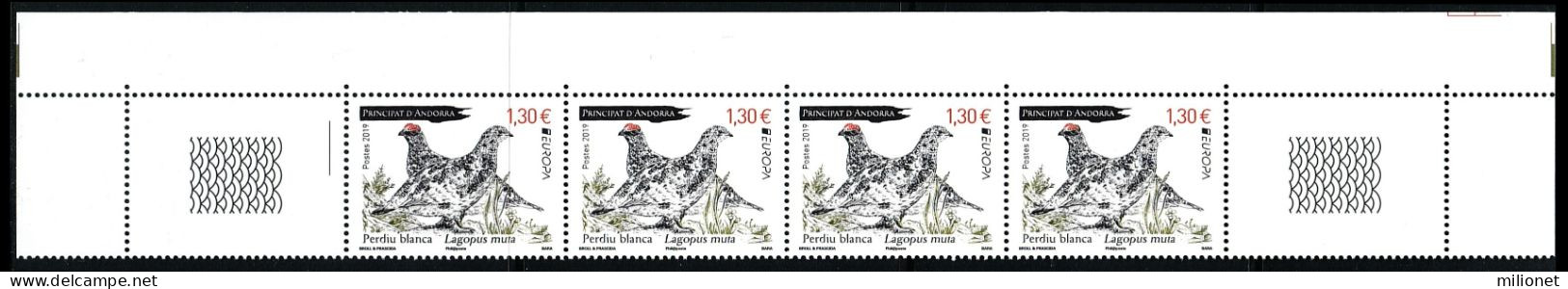 SALE!!! FRENCH ANDORRA ANDORRE 2019 EUROPA CEPT National Birds 4 Stamps + 2 Vignettes (upper Strip) MNH ** - 2019