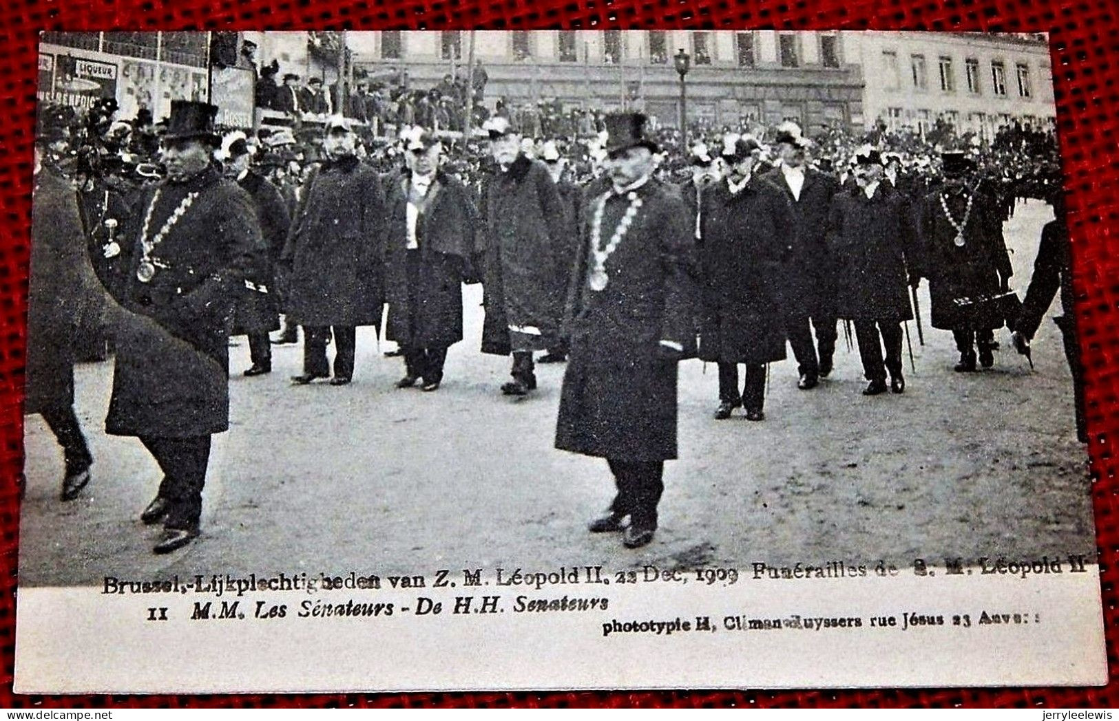 BRUXELLES - Funérailles De Léopold II -  Les Sénateurs - Familles Royales