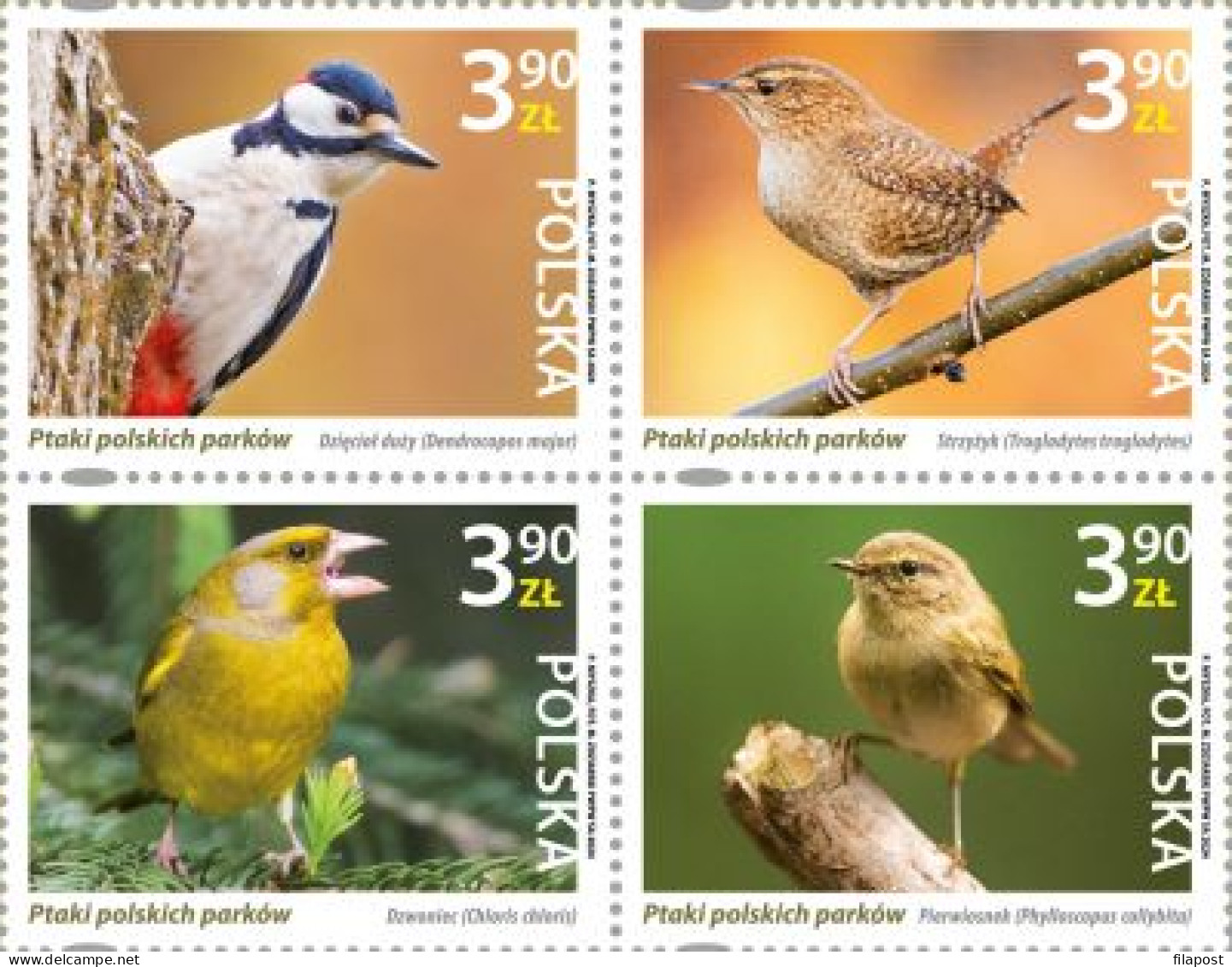 Poland 2024 Birds Of Polish Parks  Full  Of Set MNH** New!!! - Nuovi