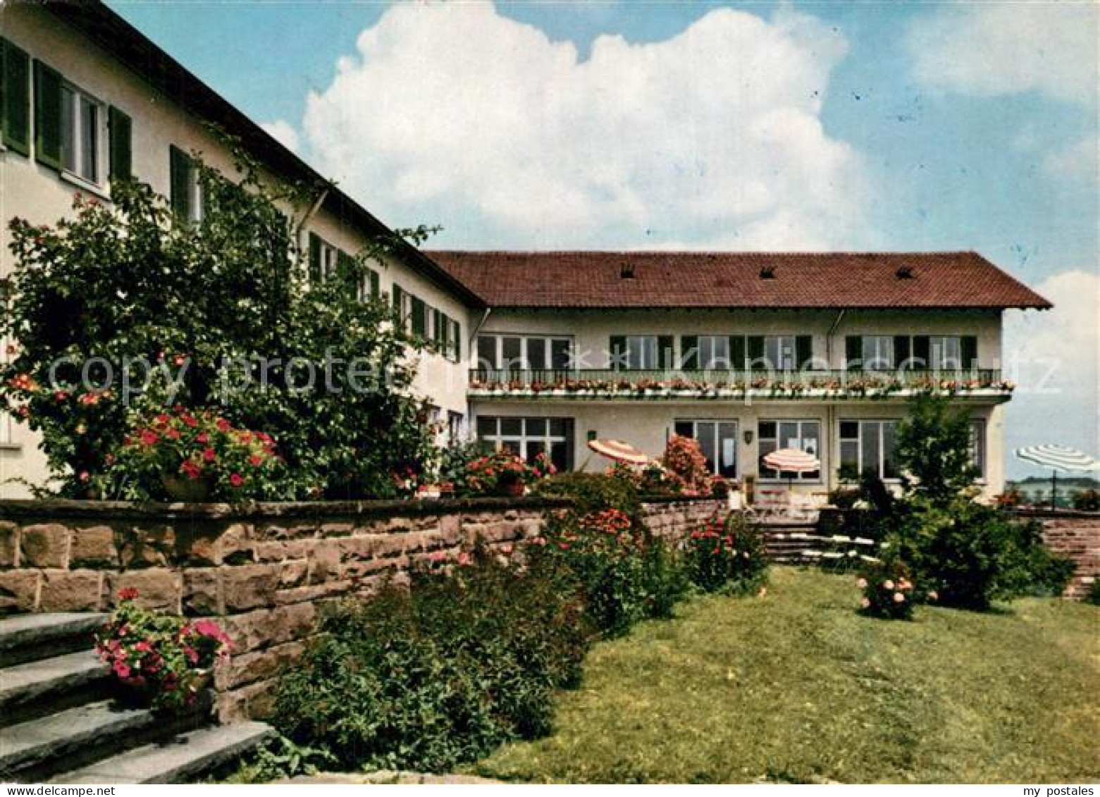 73543664 Mosbach Baden Michael Rott Schule Mosbach Baden - Mosbach