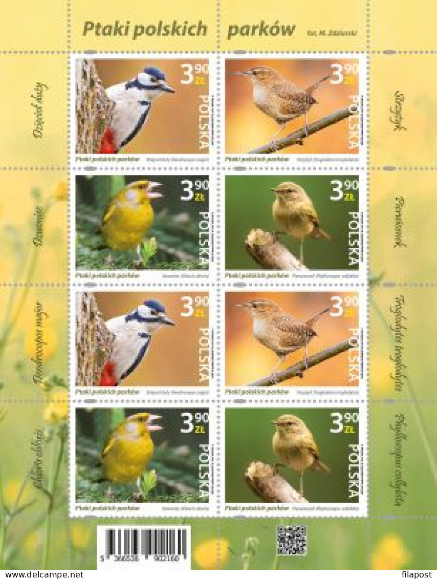 Poland 2024 Birds Of Polish Parks  Full Mini Sheet MNH** New!!! - Ungebraucht