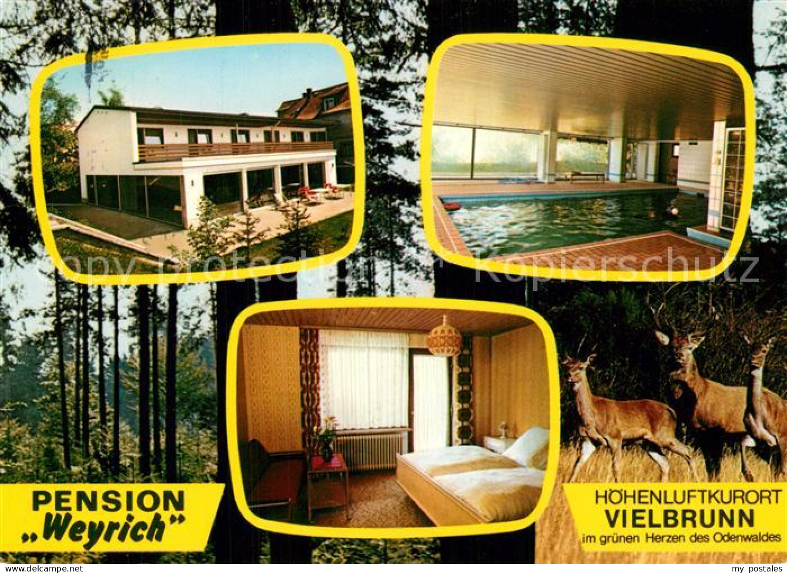 73543575 Vielbrunn Pension Weyrich Gaestezimmer Hallenbad Vielbrunn - Michelstadt