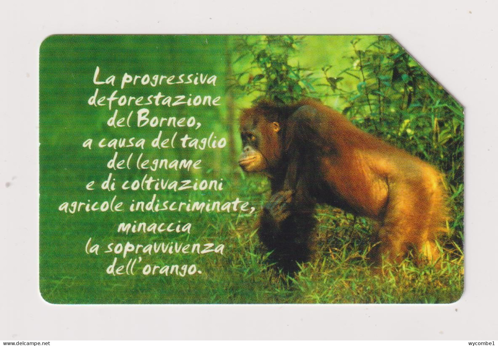 ITALY -  Orang-Utang Urmet  Phonecard - Publiques Ordinaires