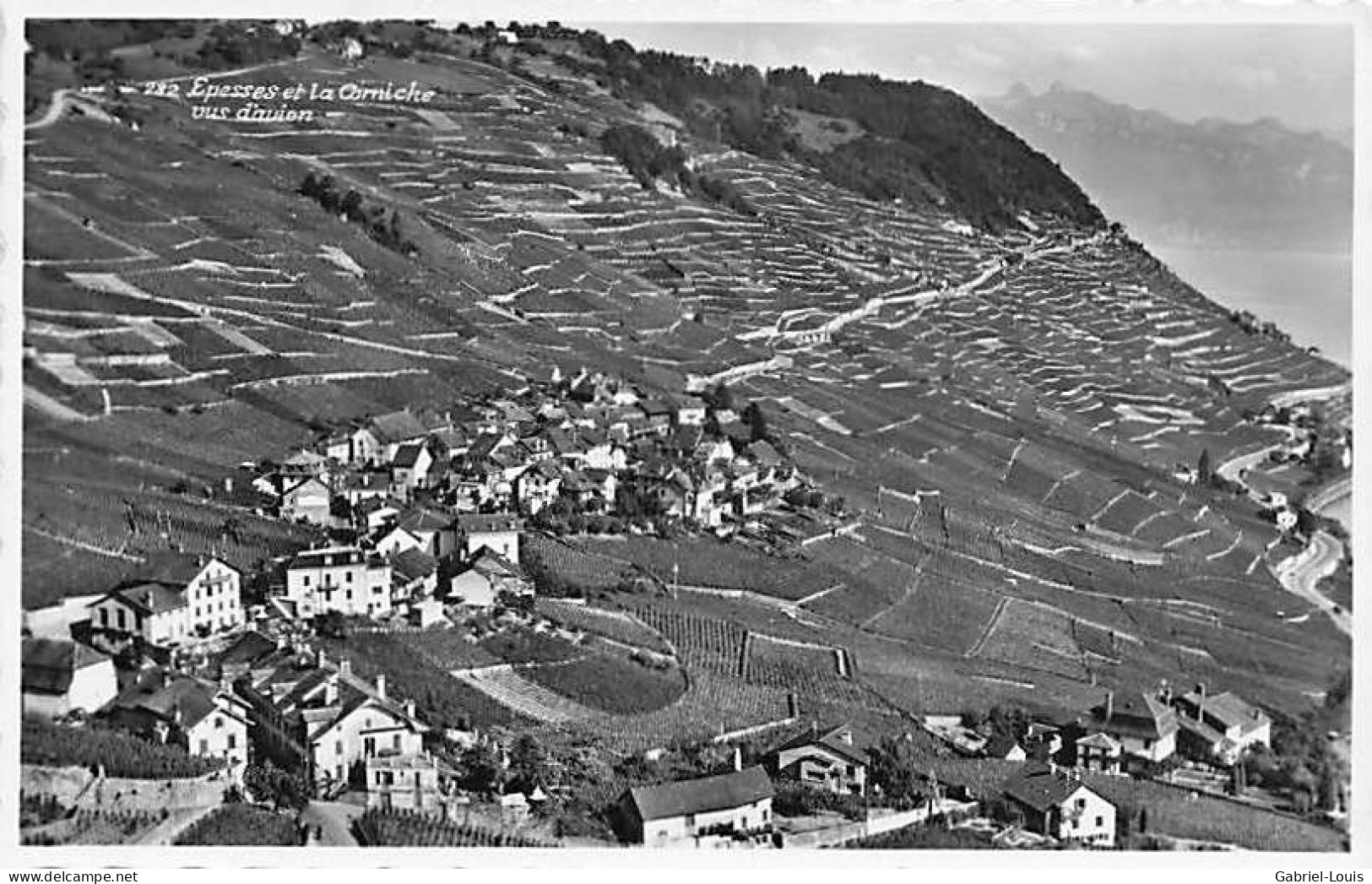 Epesses Et La Corniche Vus D'avion - Épesses