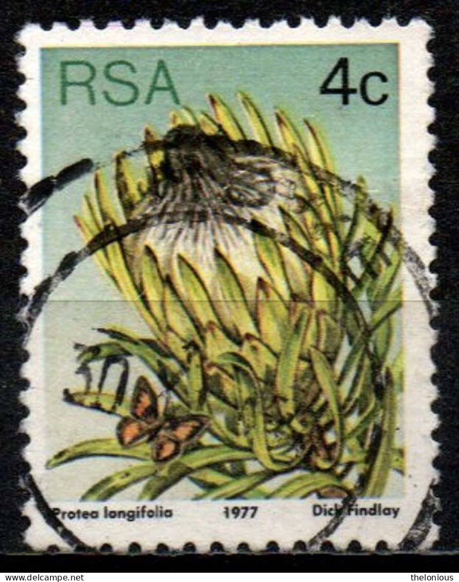 # Sud Africa 1977 - Long-leaf Sugarbush (Protea Longifolia) - Farfalle E Falene | Fiori | Piante (Flora) - Used Stamps