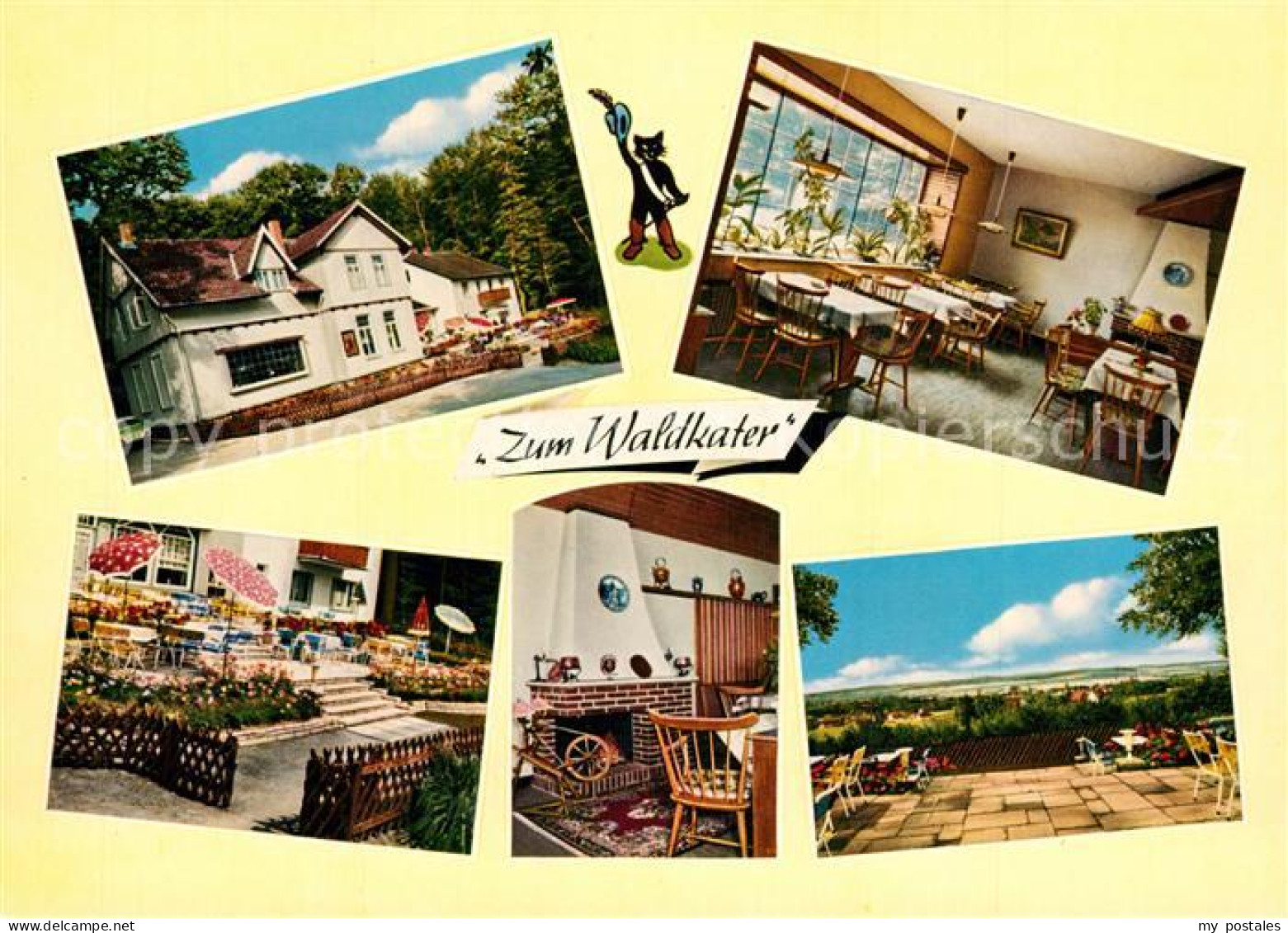 73542331 Rinteln Gasthaus Zum Waldkater Rinteln - Rinteln