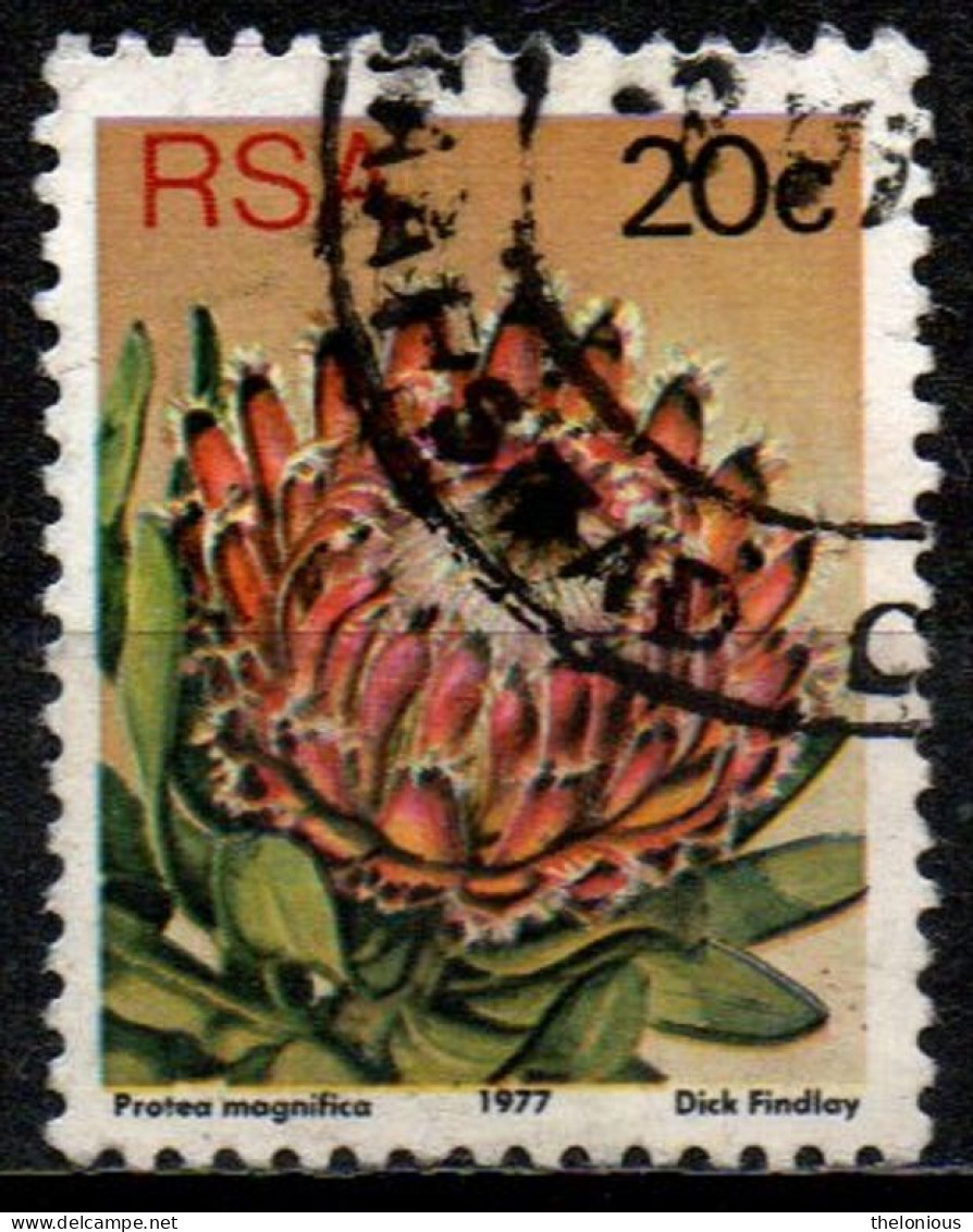 # Sud Africa 1978 - Queen Protea (Protea Magnifica) - Fiori | Piante (Flora) - Oblitérés