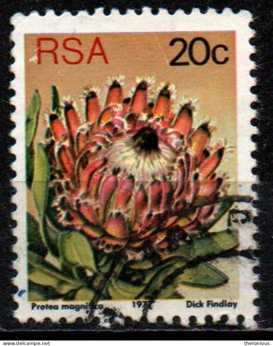 # Sud Africa 1978 - Queen Protea (Protea Magnifica) - Fiori | Piante (Flora) - Oblitérés