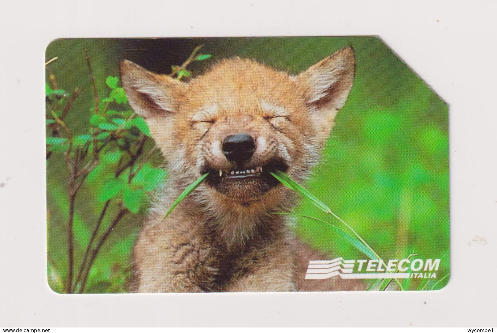 ITALY -  Wolf Cub Urmet  Phonecard - Publiques Ordinaires