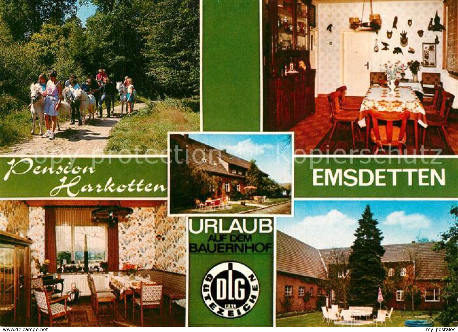 73541311 Emsdetten Pension Harkotten Emsdetten - Emsdetten