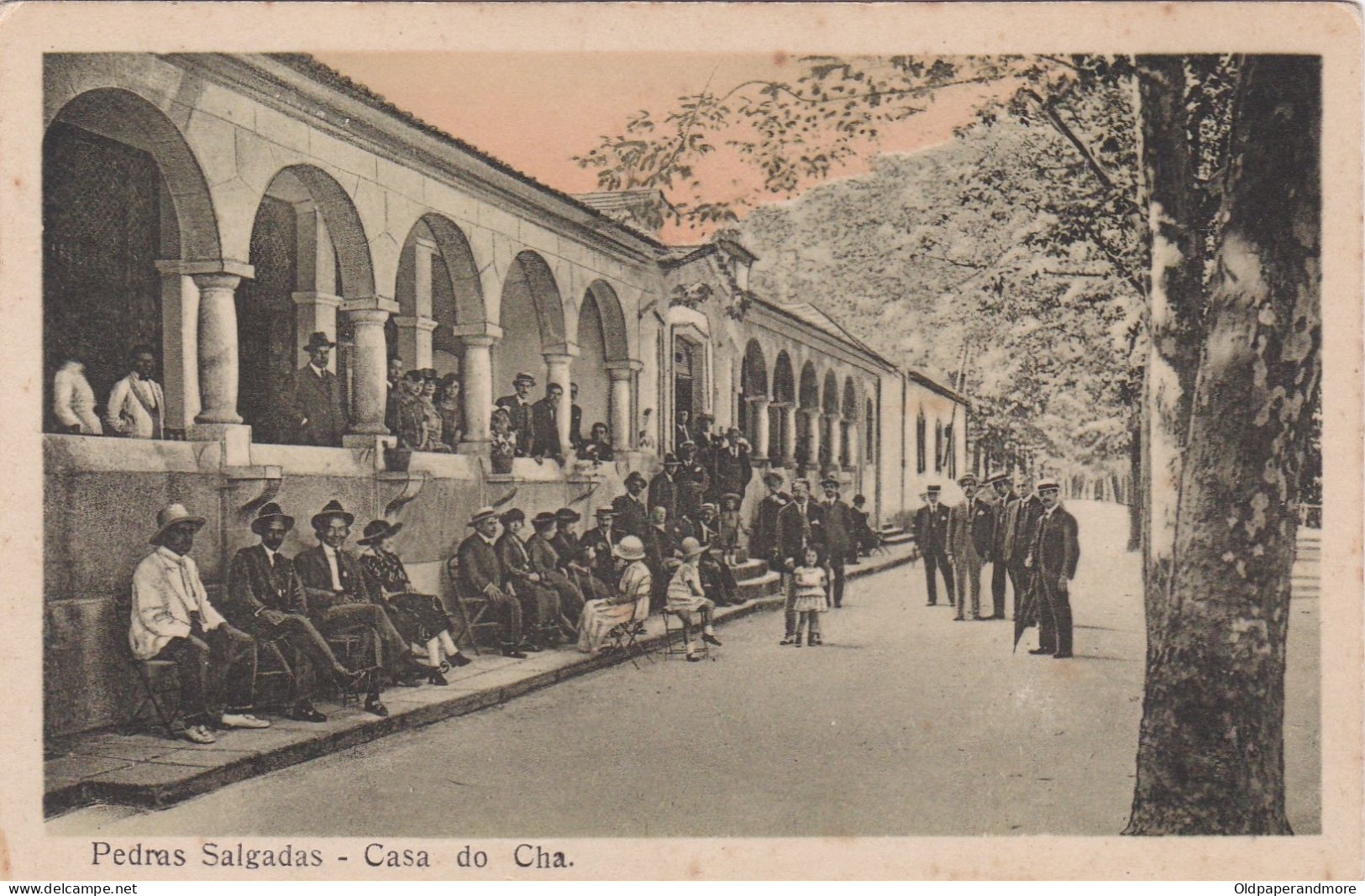 POSTCARD PORTUGAL - PEDRAS SALGADAS - CASA DE CHÃ - Vila Real